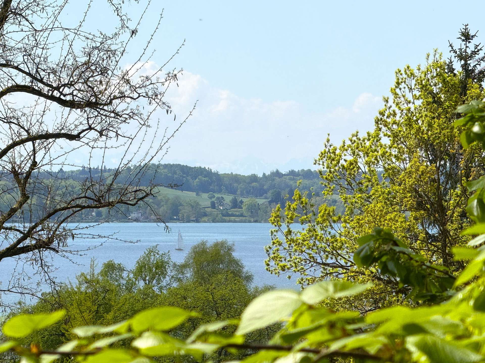 °See- & Bergblick vom späteren DG