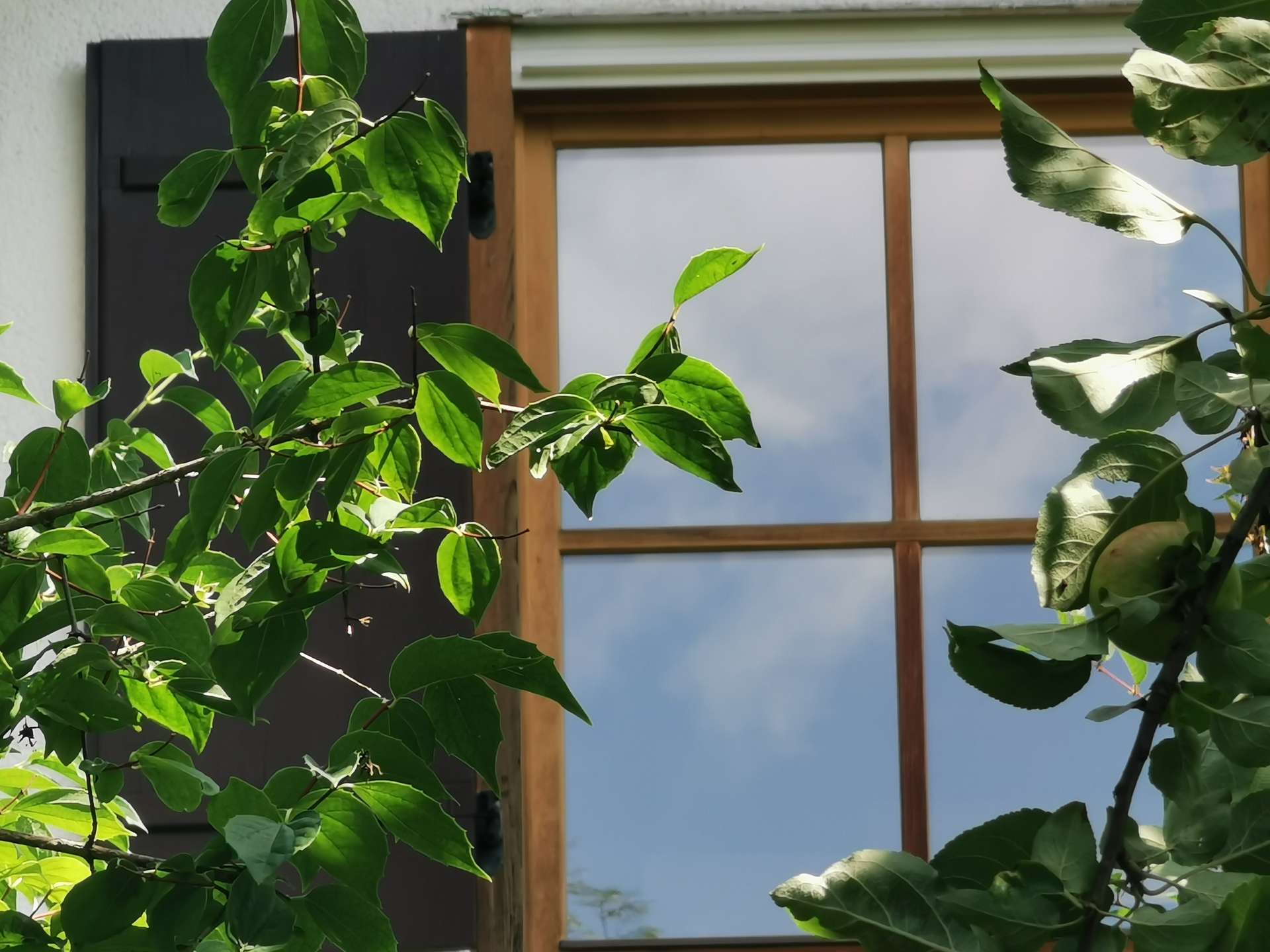 °Detail - Sprossenfenster