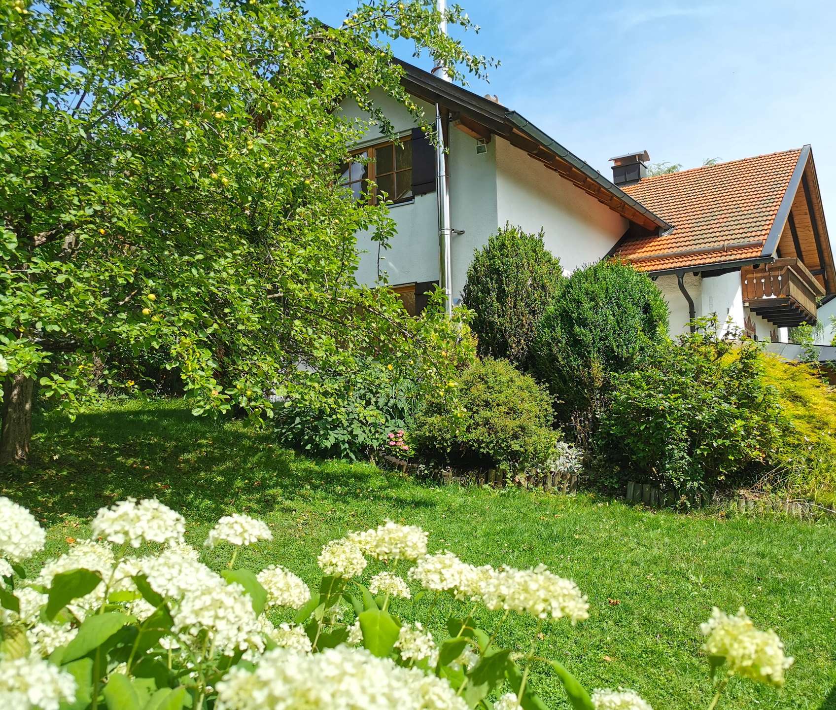 °Blumenvielfalt & Obstbäume