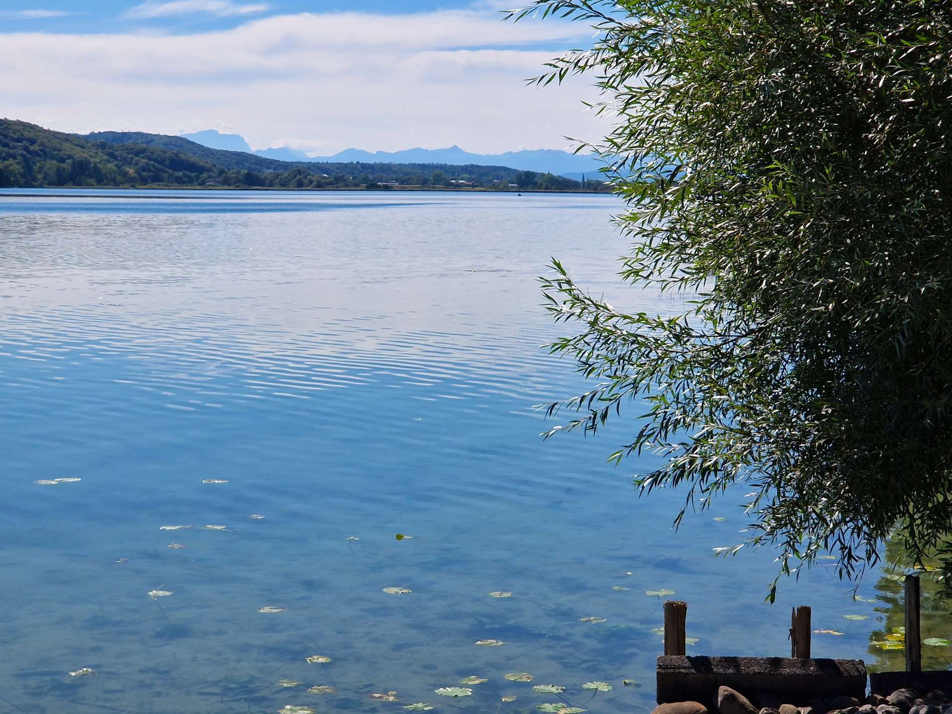 °Alpenblick vom Steg