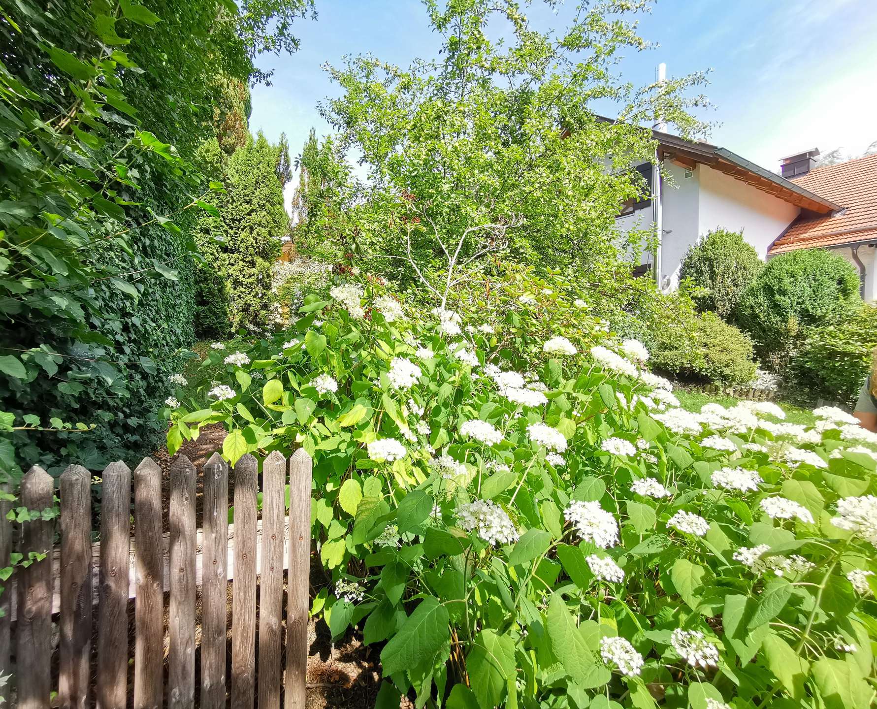°Umgeben von Grün