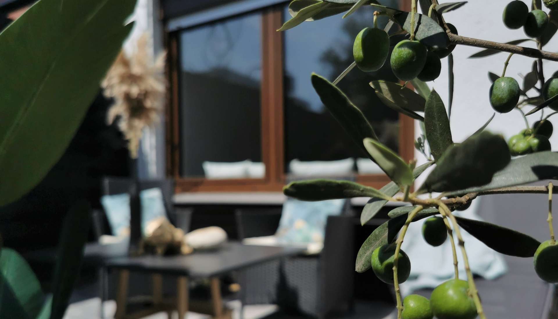 °Den Sommer & Herbst im eigenen Garten genießen