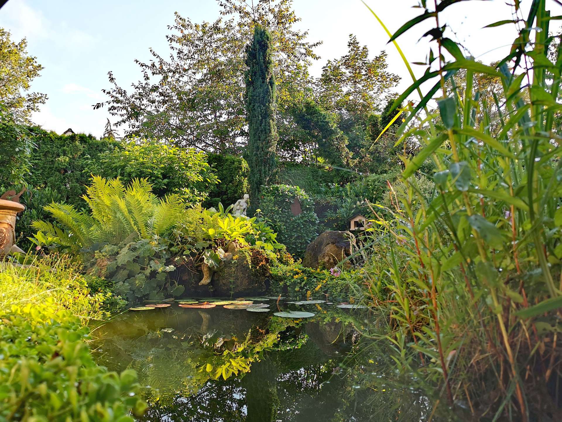 °Idyllischer, kleiner Gartenteich