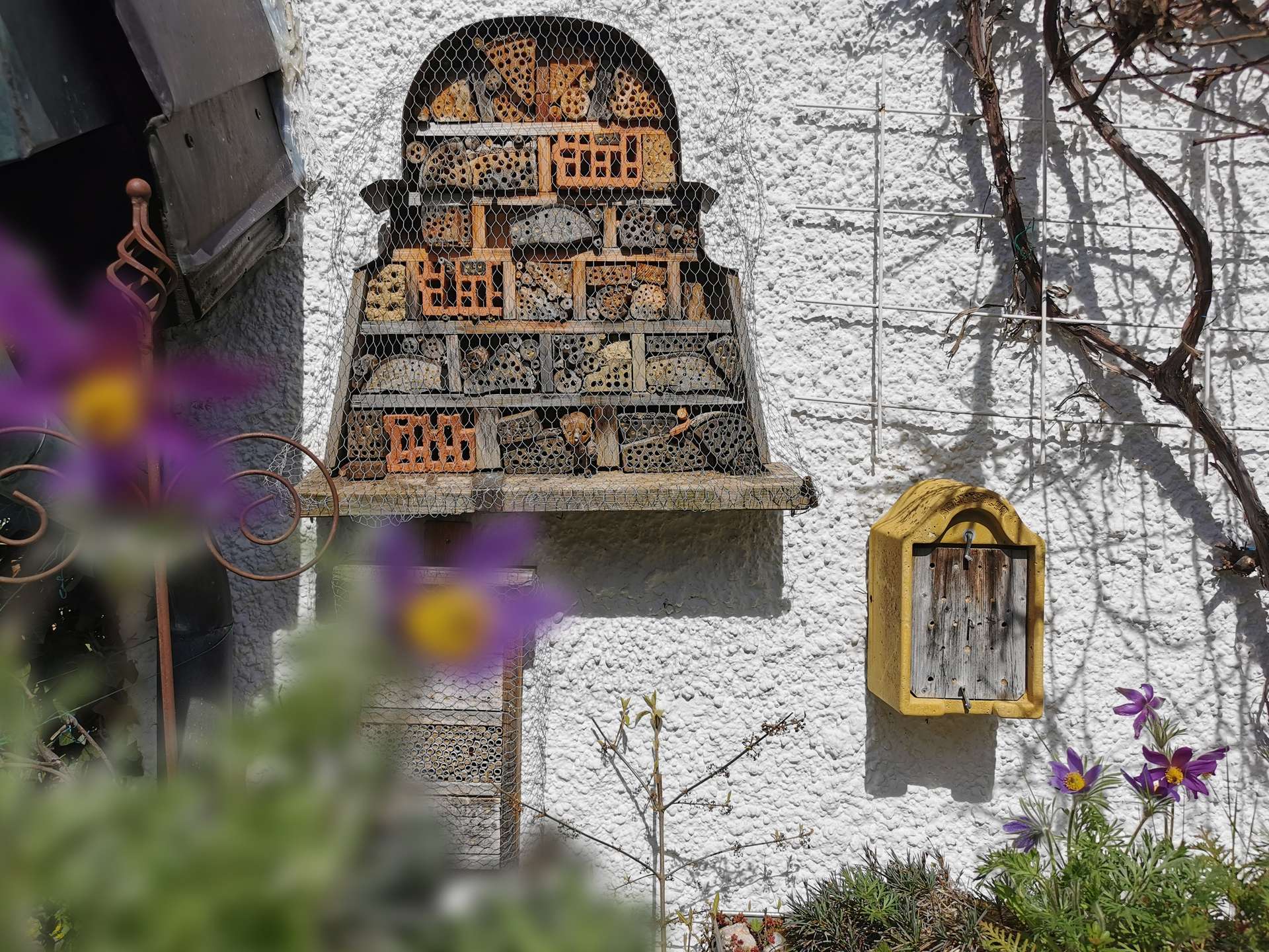 °Ein Paradies für Vögel & Insekten