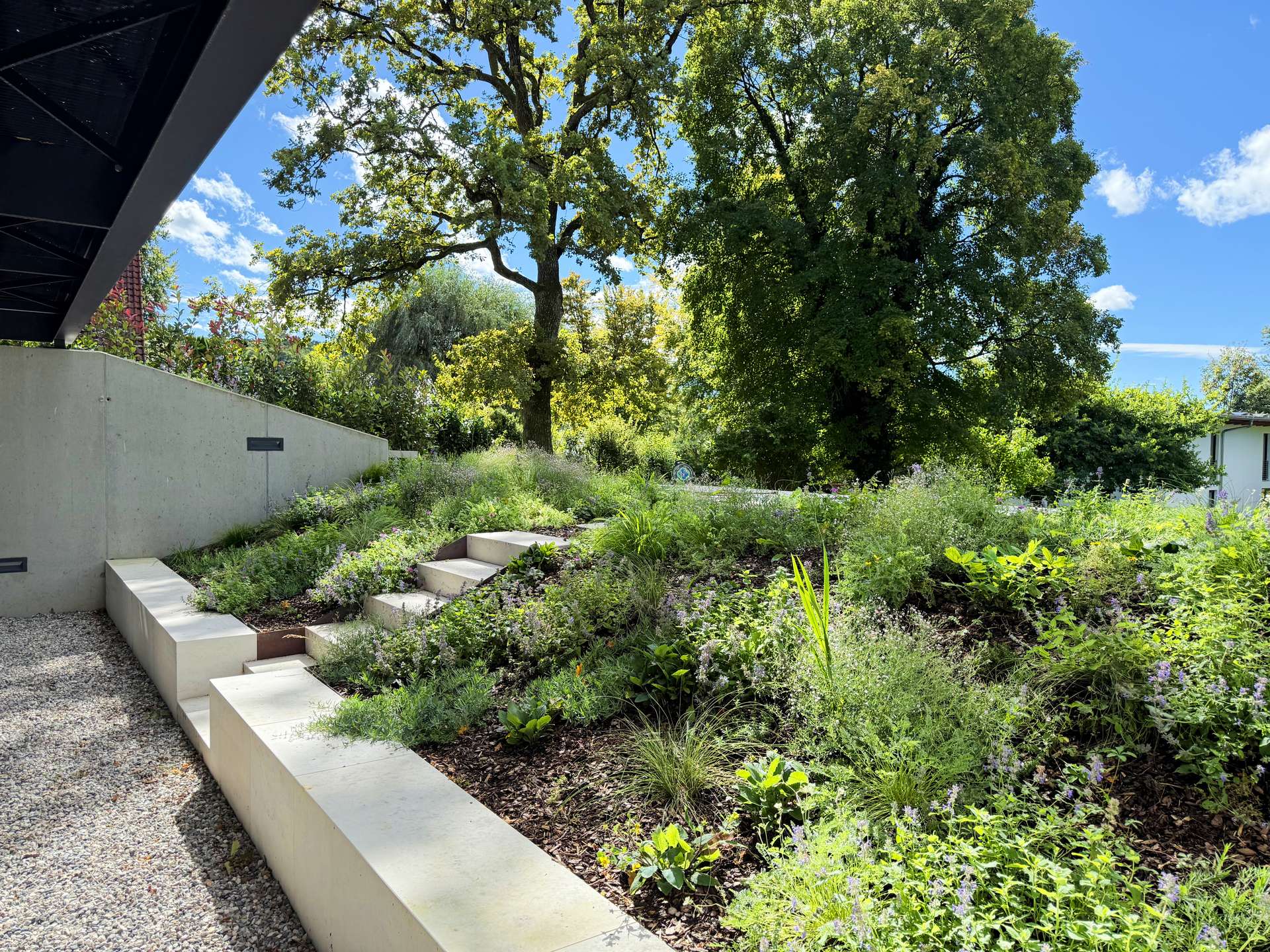 °Angelegter Kräutergarten