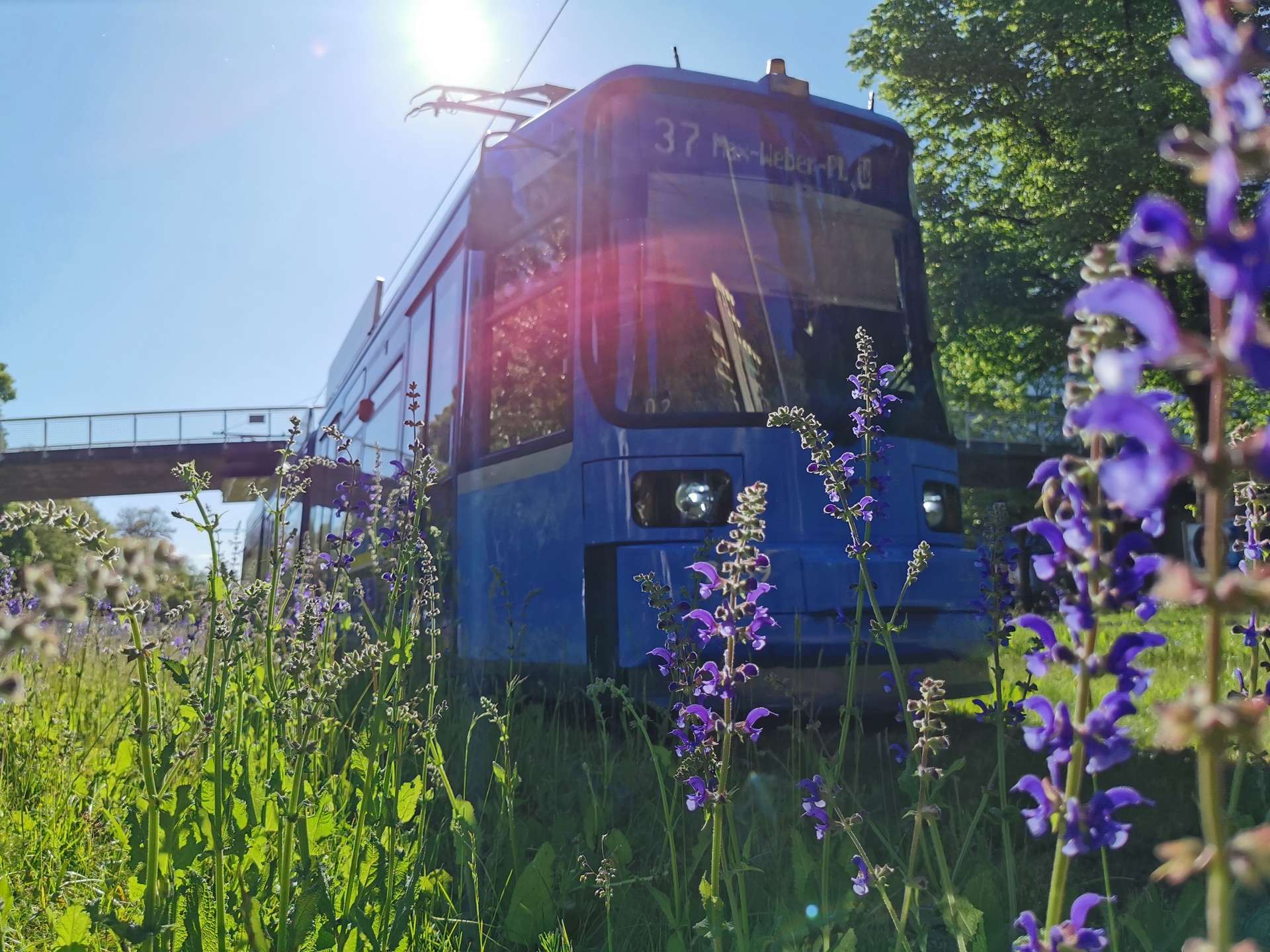 °Klimaneutrale Anbindung