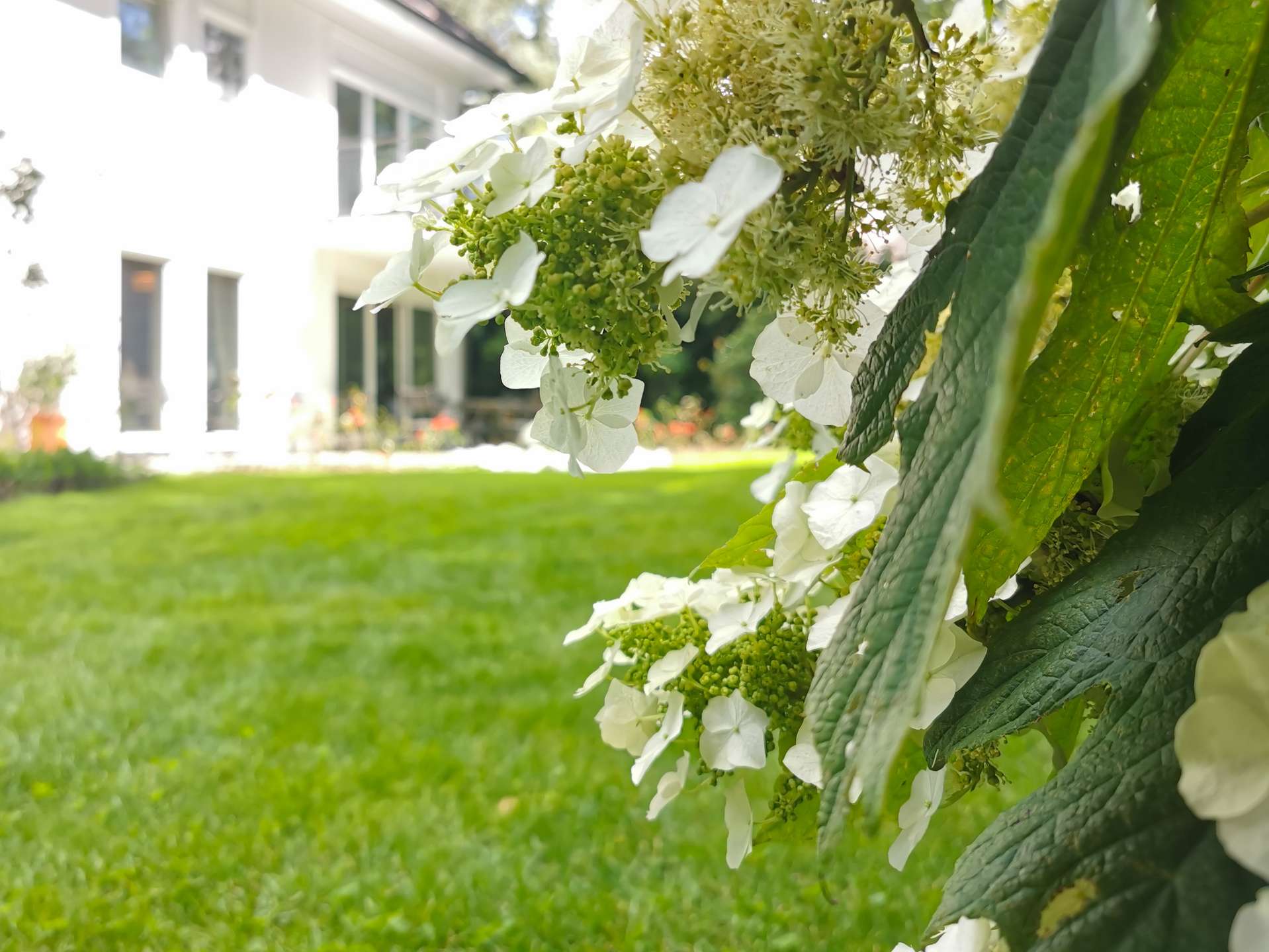 °Traumhaft eingewachsen
