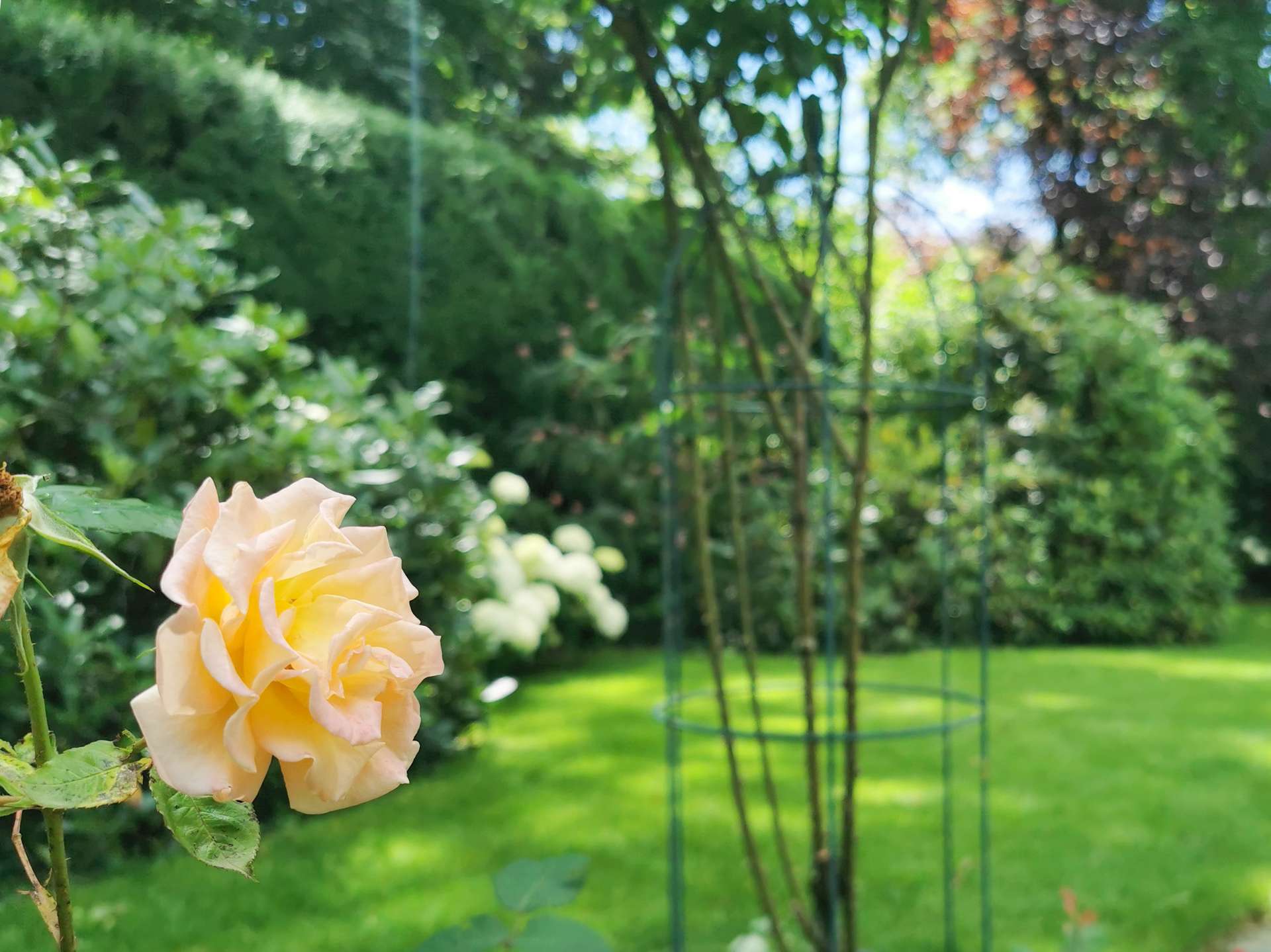 °Gepflegte Gartenoase