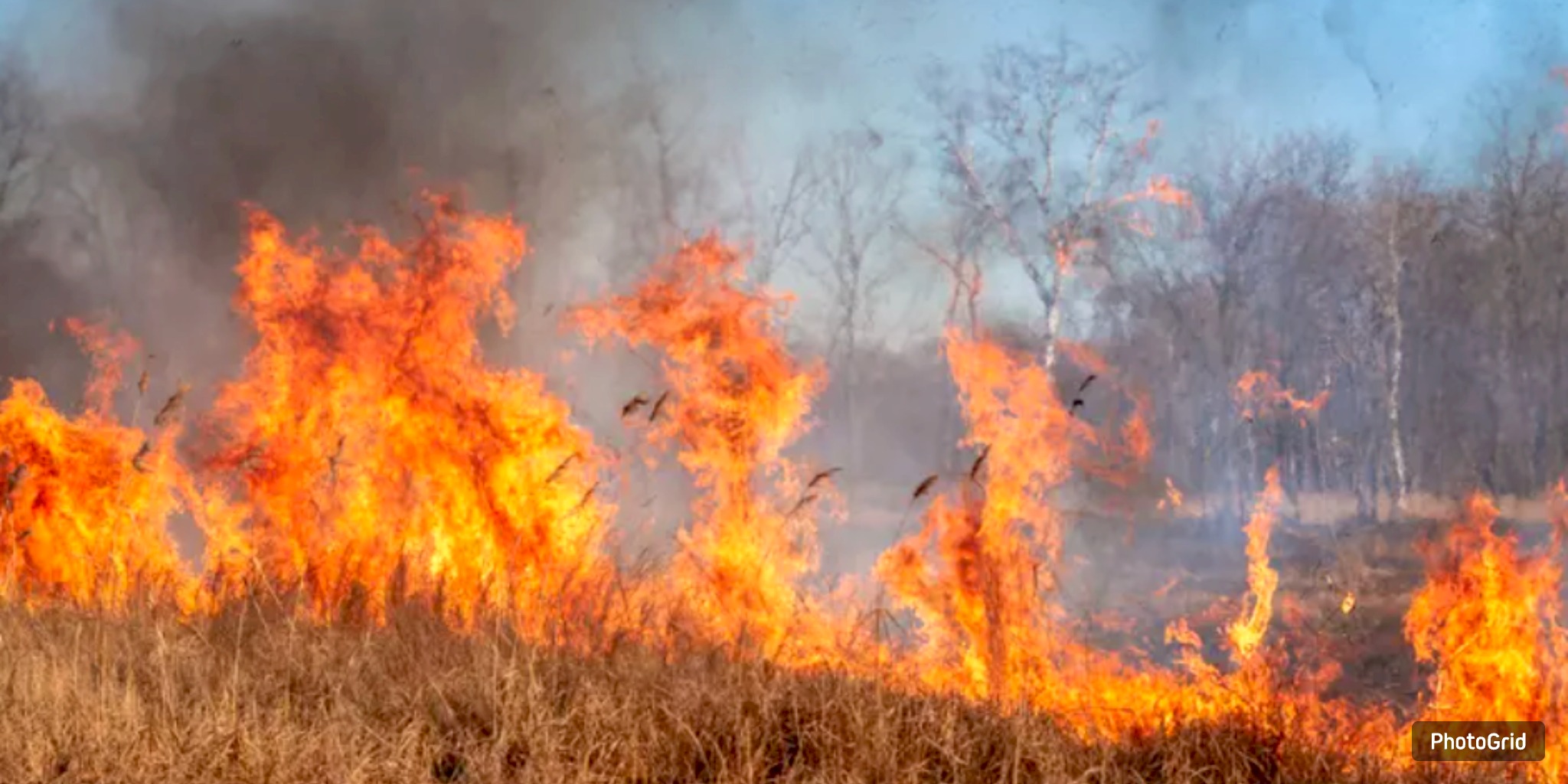 Severe Drought Prompts Countywide Burn Ban in Montgomery County