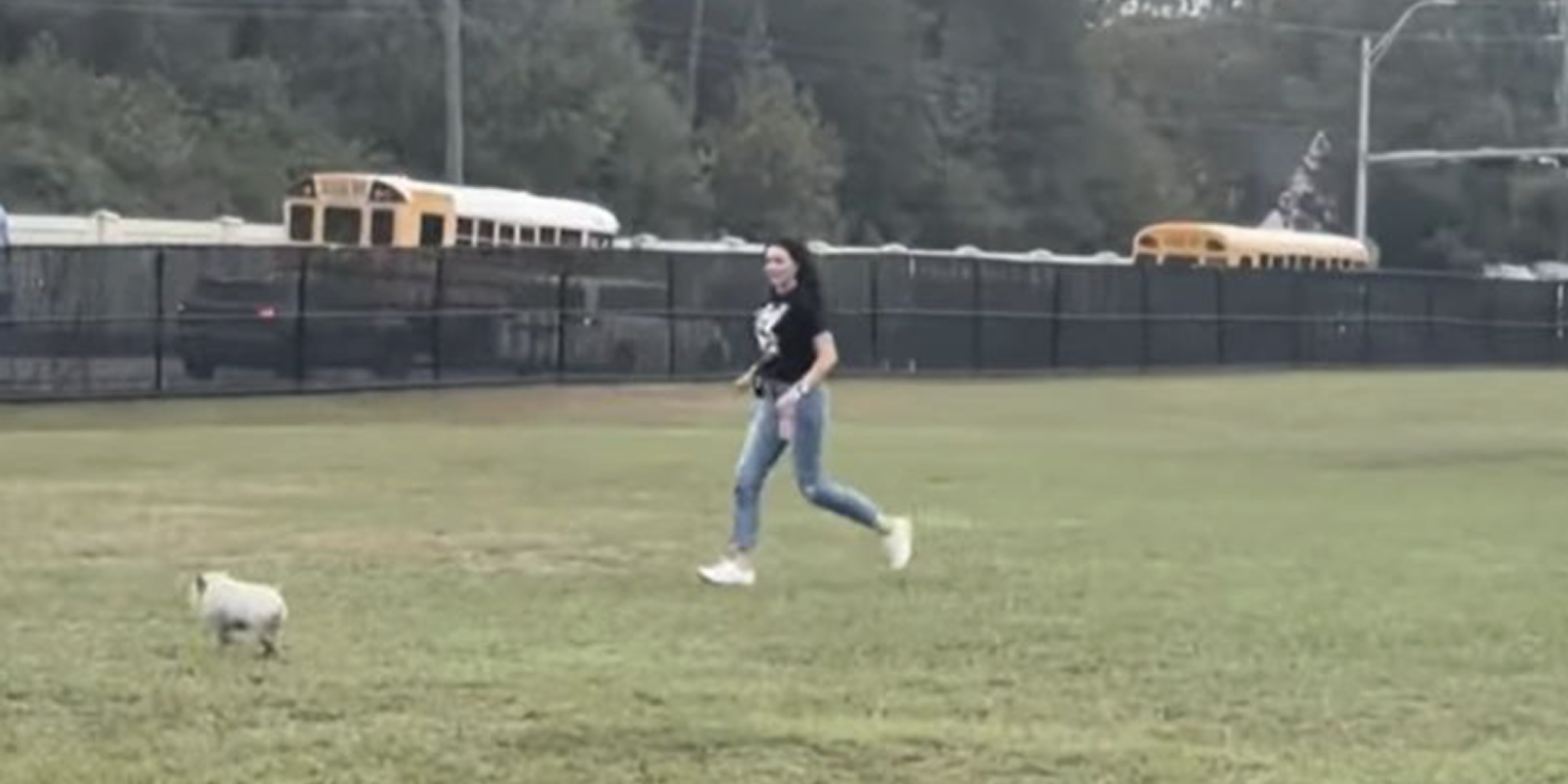 Loose Pig Leads to Chase Across Two Spring Campuses