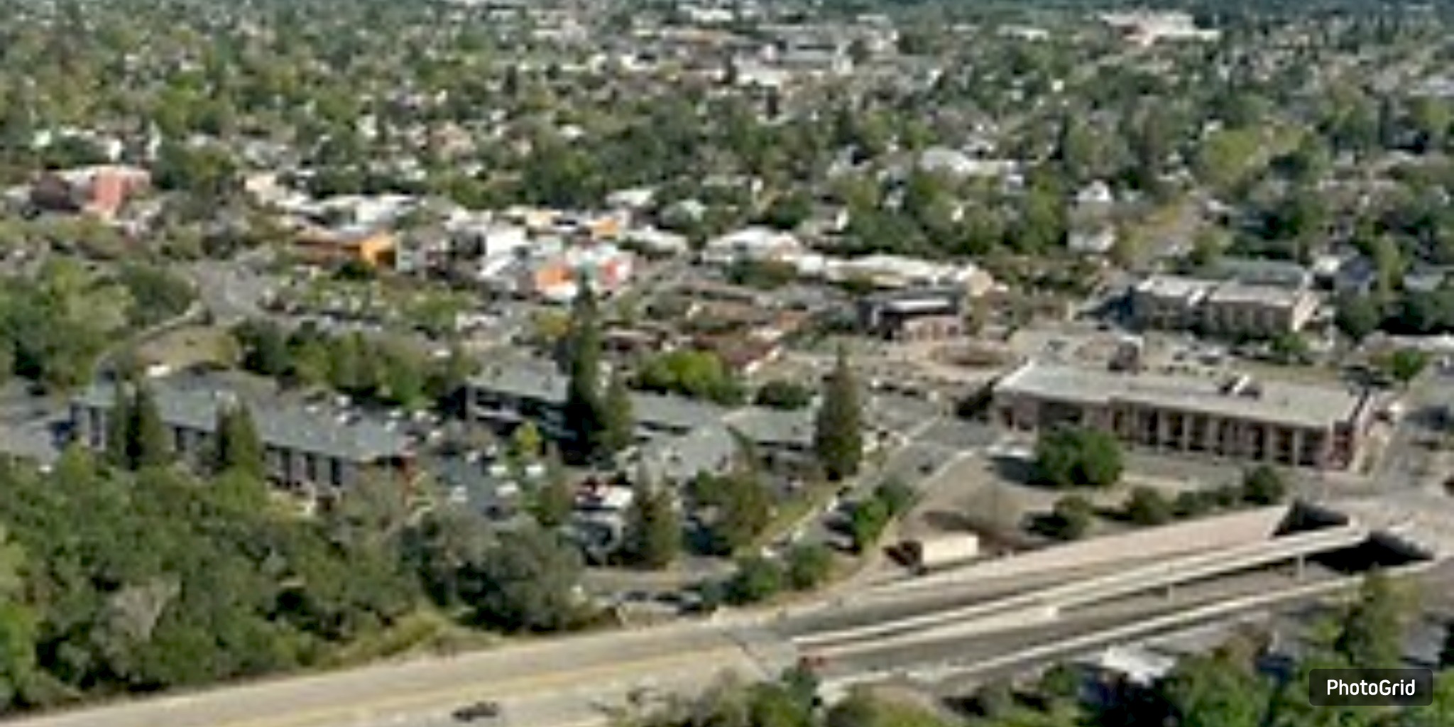 Proposed 160-foot monopine tower stalls in Conroe