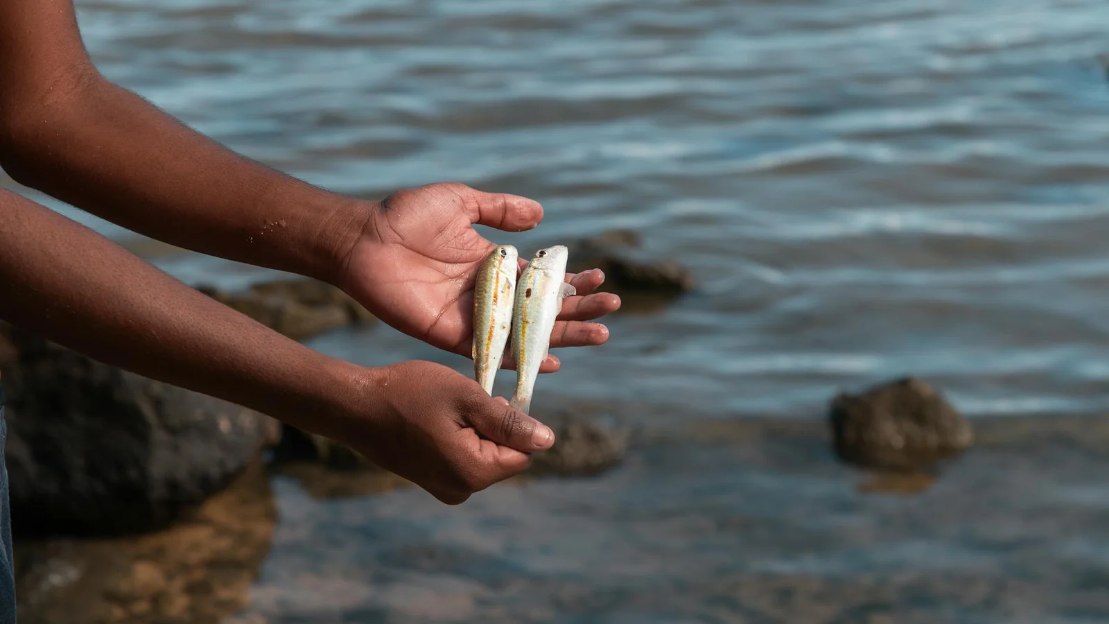 Officials vow close oversight after Blackfin dispute