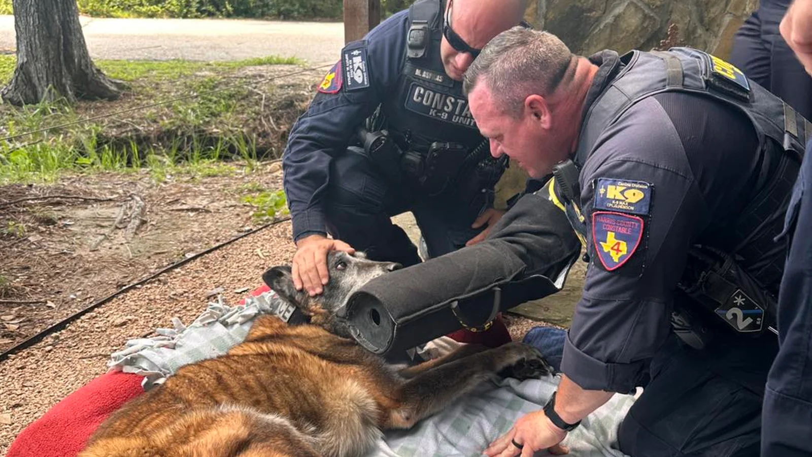 Conroe Residents Mourn Loss of K9 Ultras, Faithful Companion to Constable's Offi