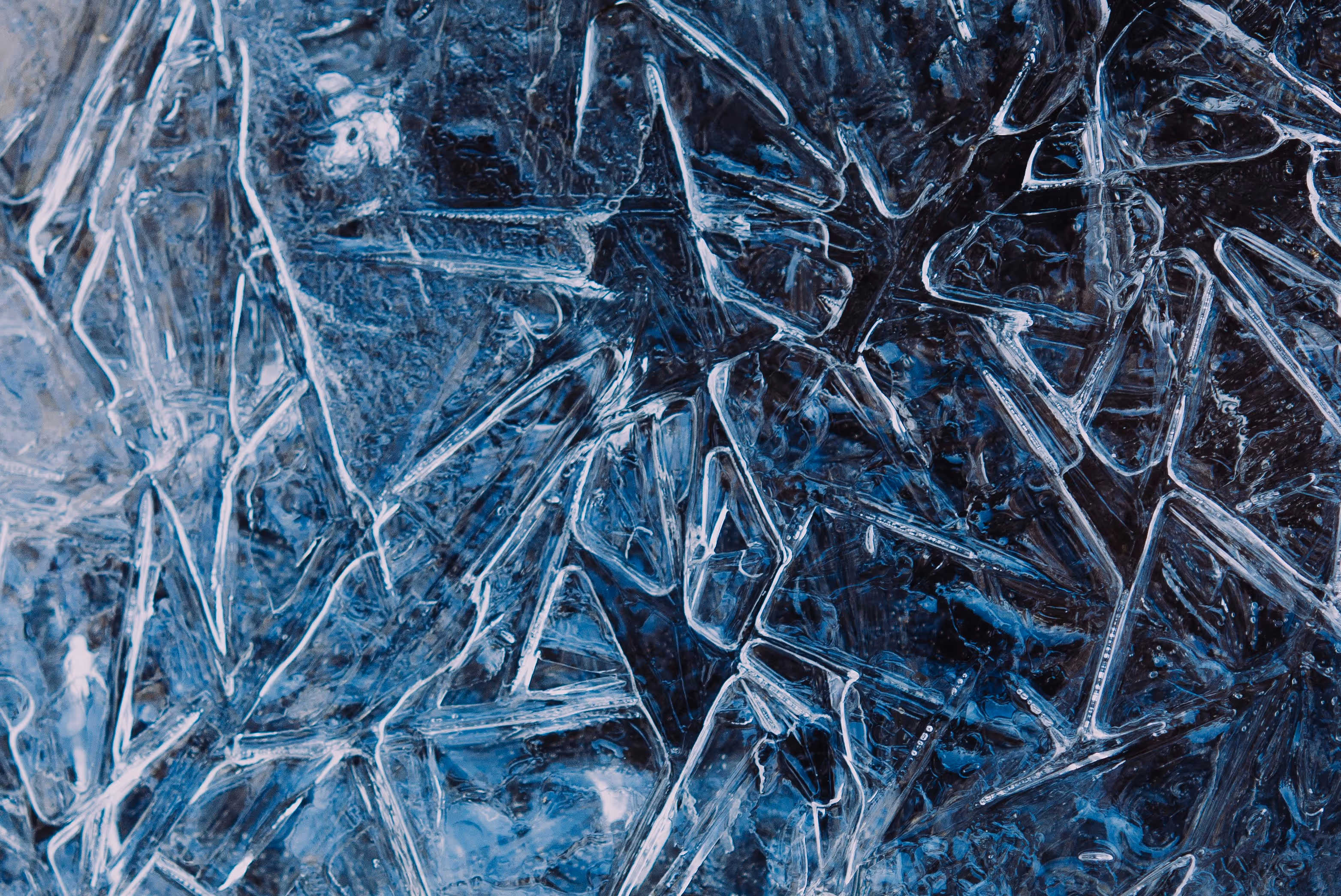 cold storage rental - cold storage rental in Charlotte SC