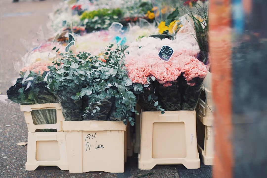 flower cooler rental - flower cooler rental