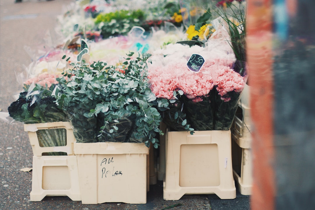 flower cooler rental - flower cooler rental