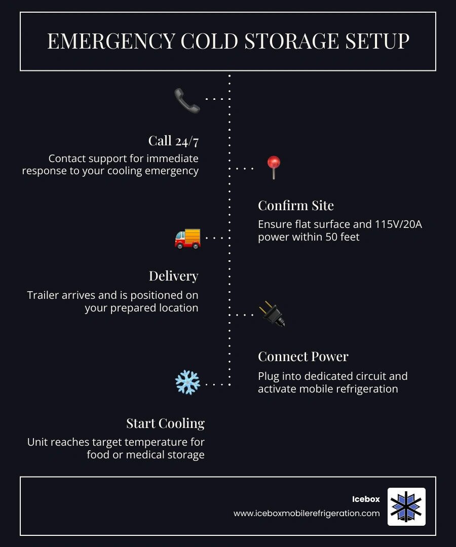 infographic showing 24/7 emergency service response times and setup steps infographic