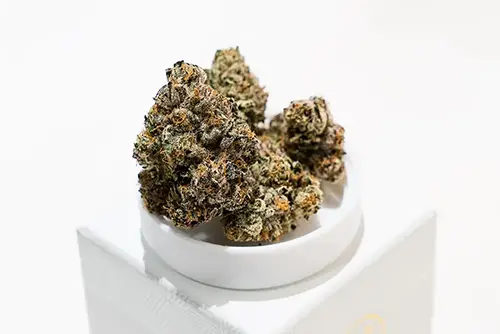 Picture of the dispensary. It's showing inside of the store & showcasing their products.