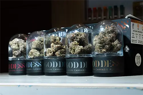 Picture of the dispensary. It's showing inside of the store & showcasing their products.
