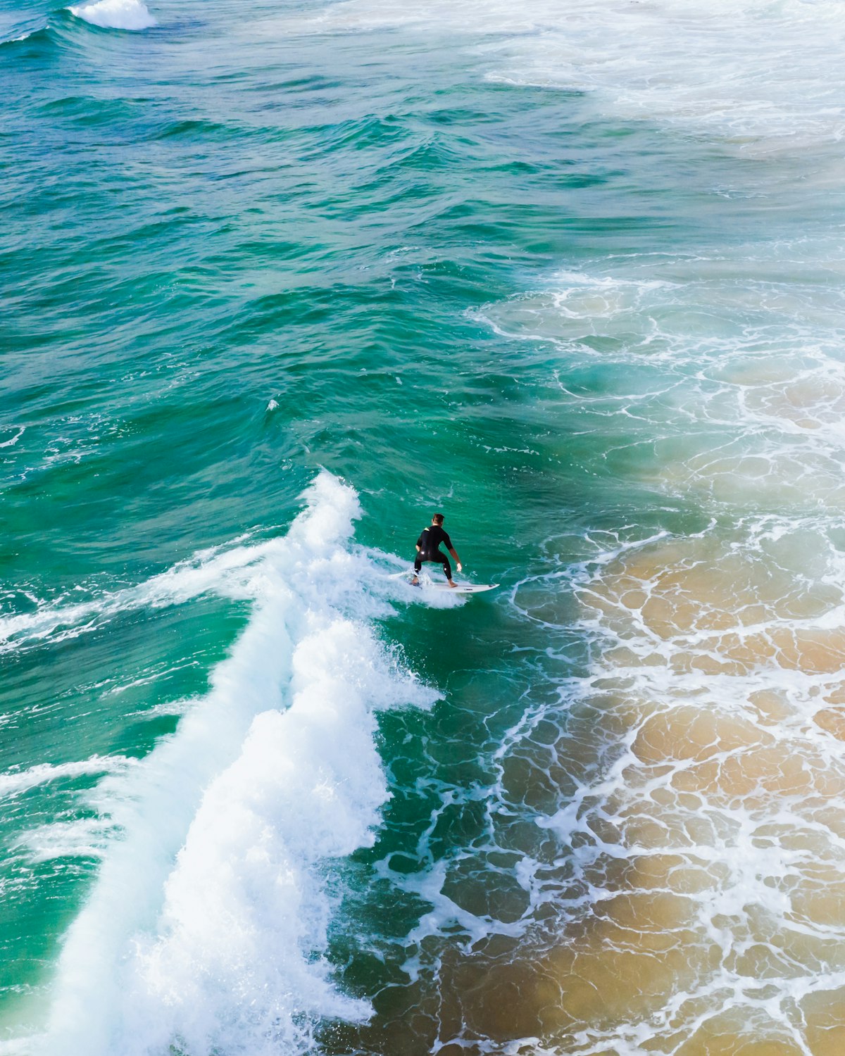 Aerial view of a Sydney beach
