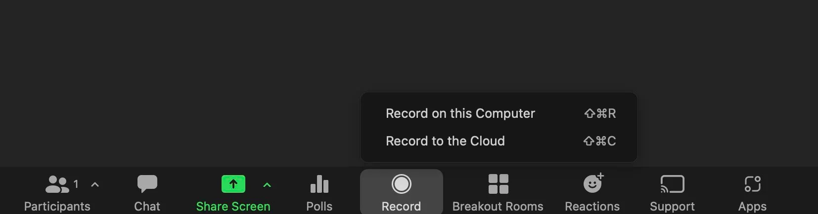 Zoom recording button