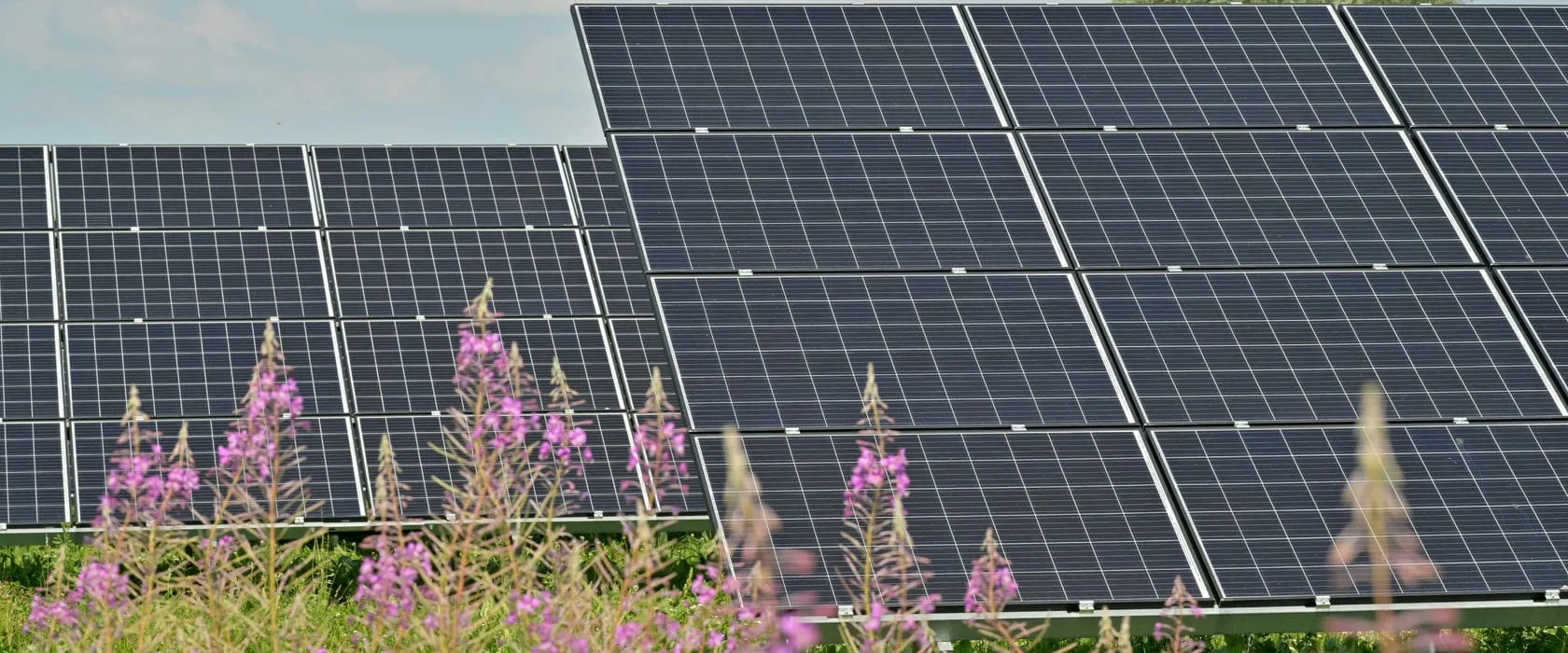 solar painels in a field