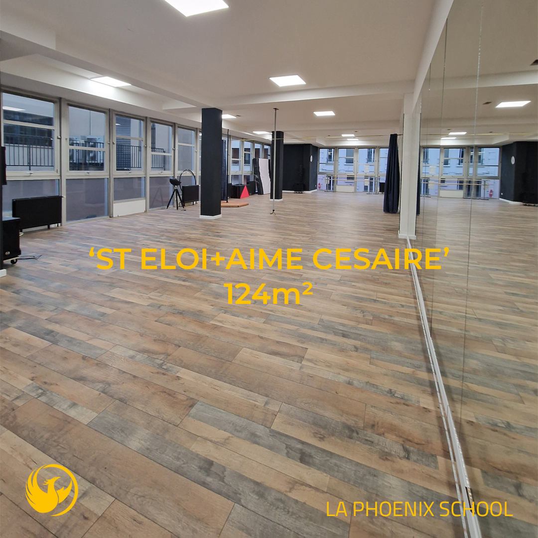 Studios Saint Eloi et Aimé Césaire de La Phoenix School