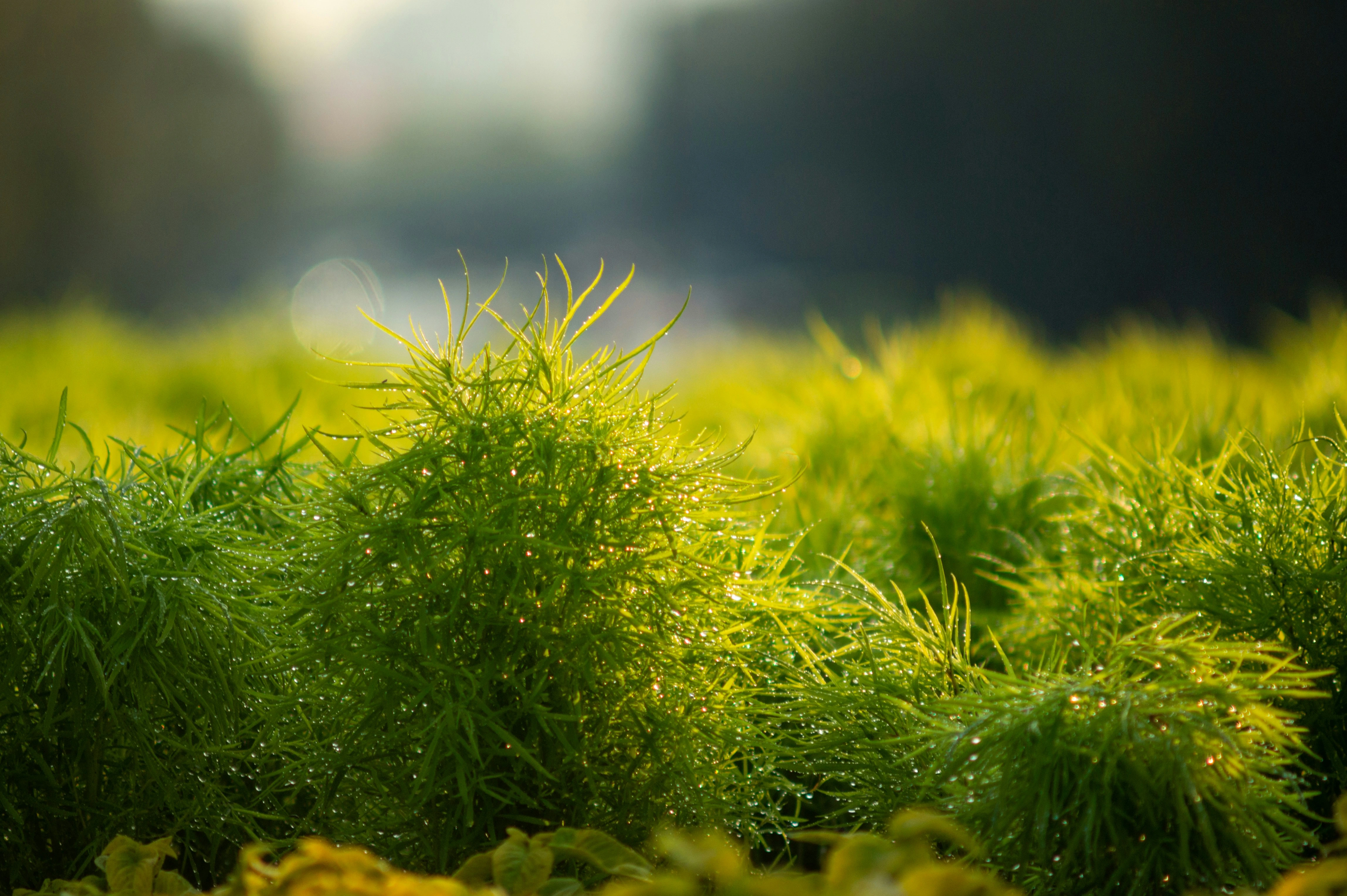 5 Practical Ways Sustainability Teams Can Use AI