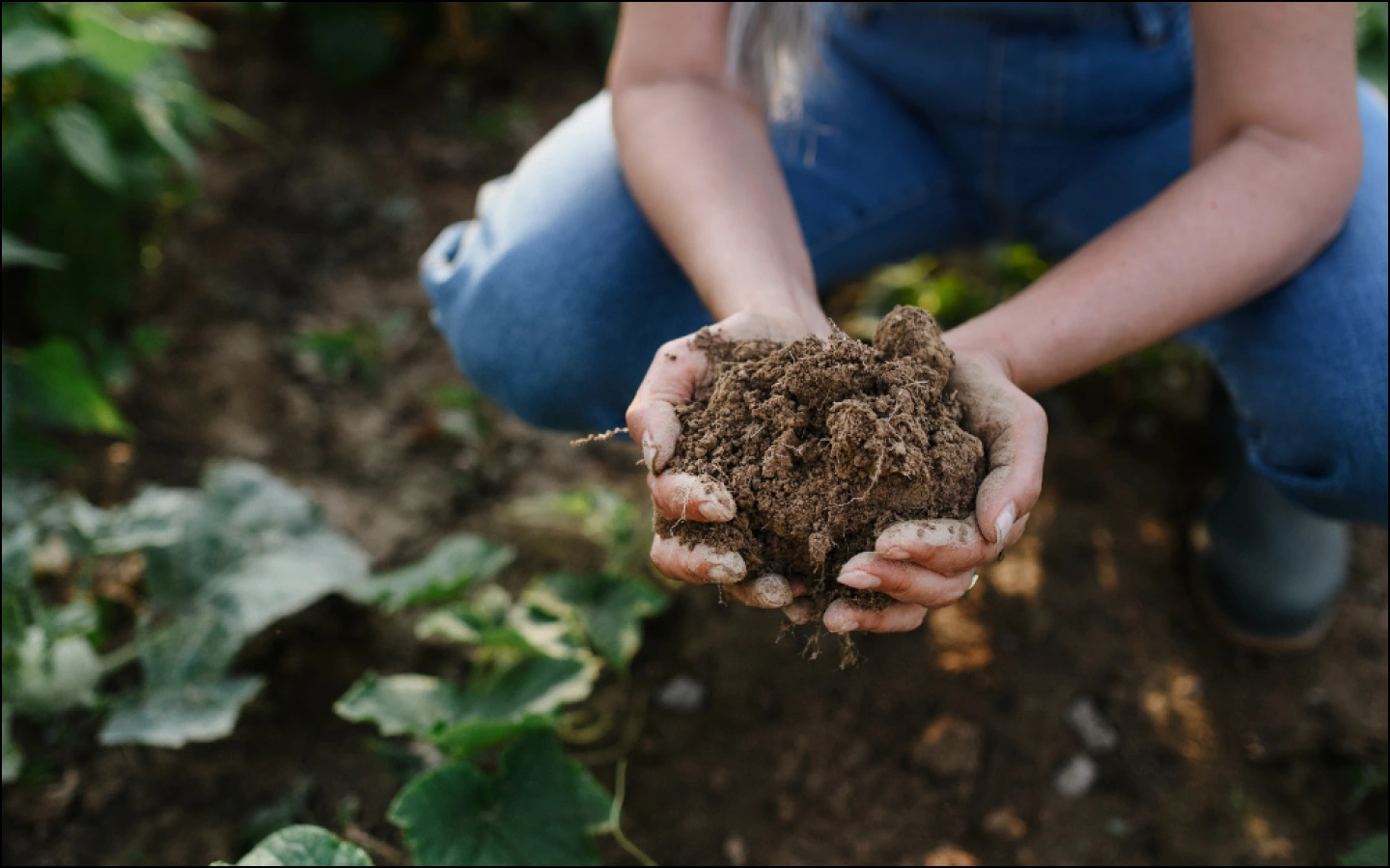 How Regenerative Agriculture Can Help Reduce Greenhouse Gas Emissions