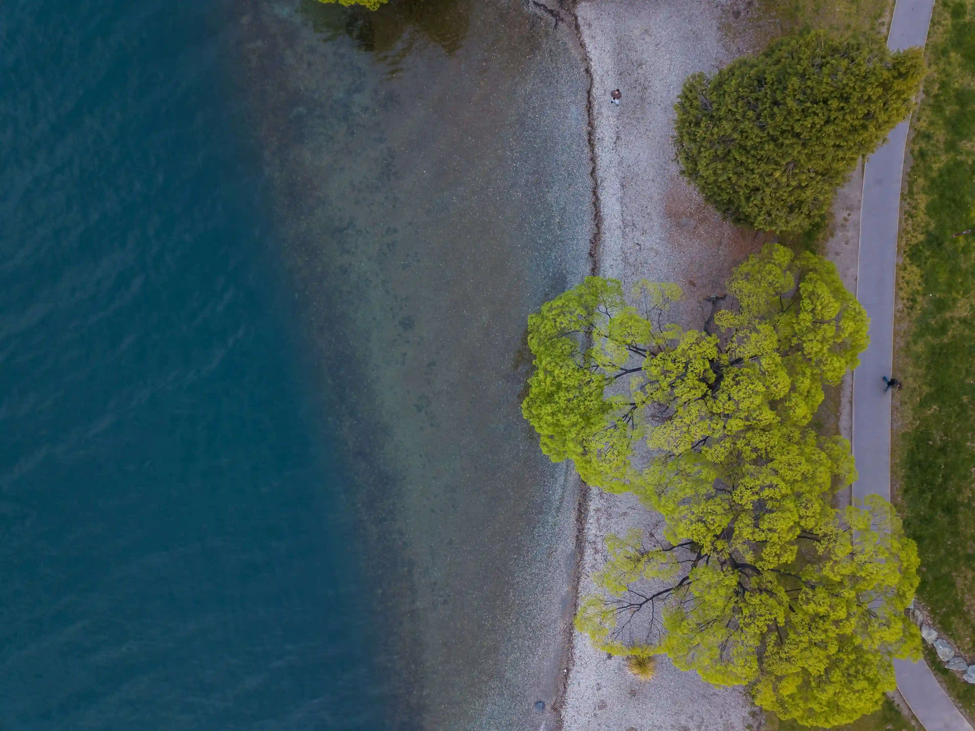 What the DMCC Act Means for Environmental Claims and Greenwashing