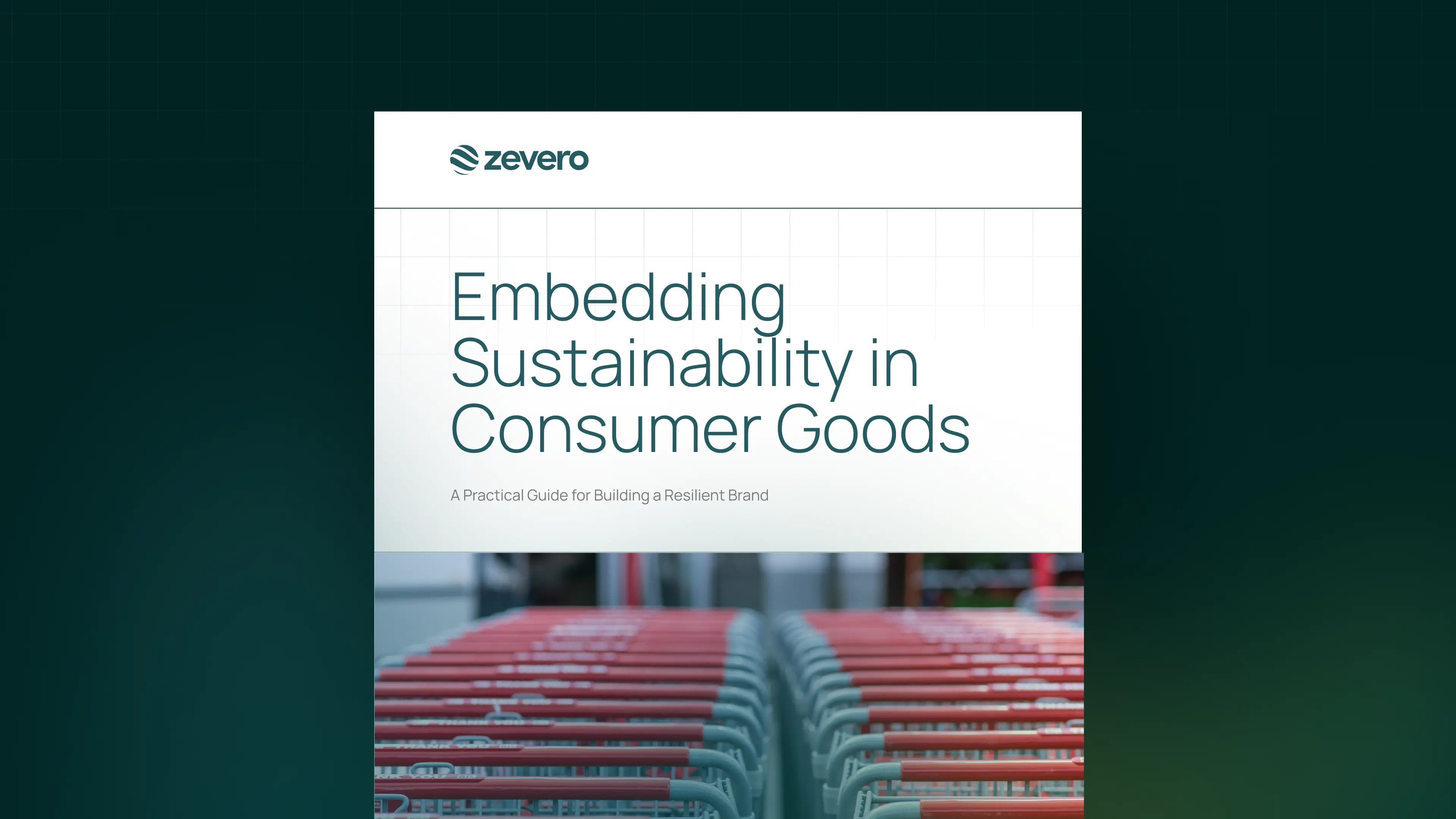 Embedding Sustainability in Consumer Goods