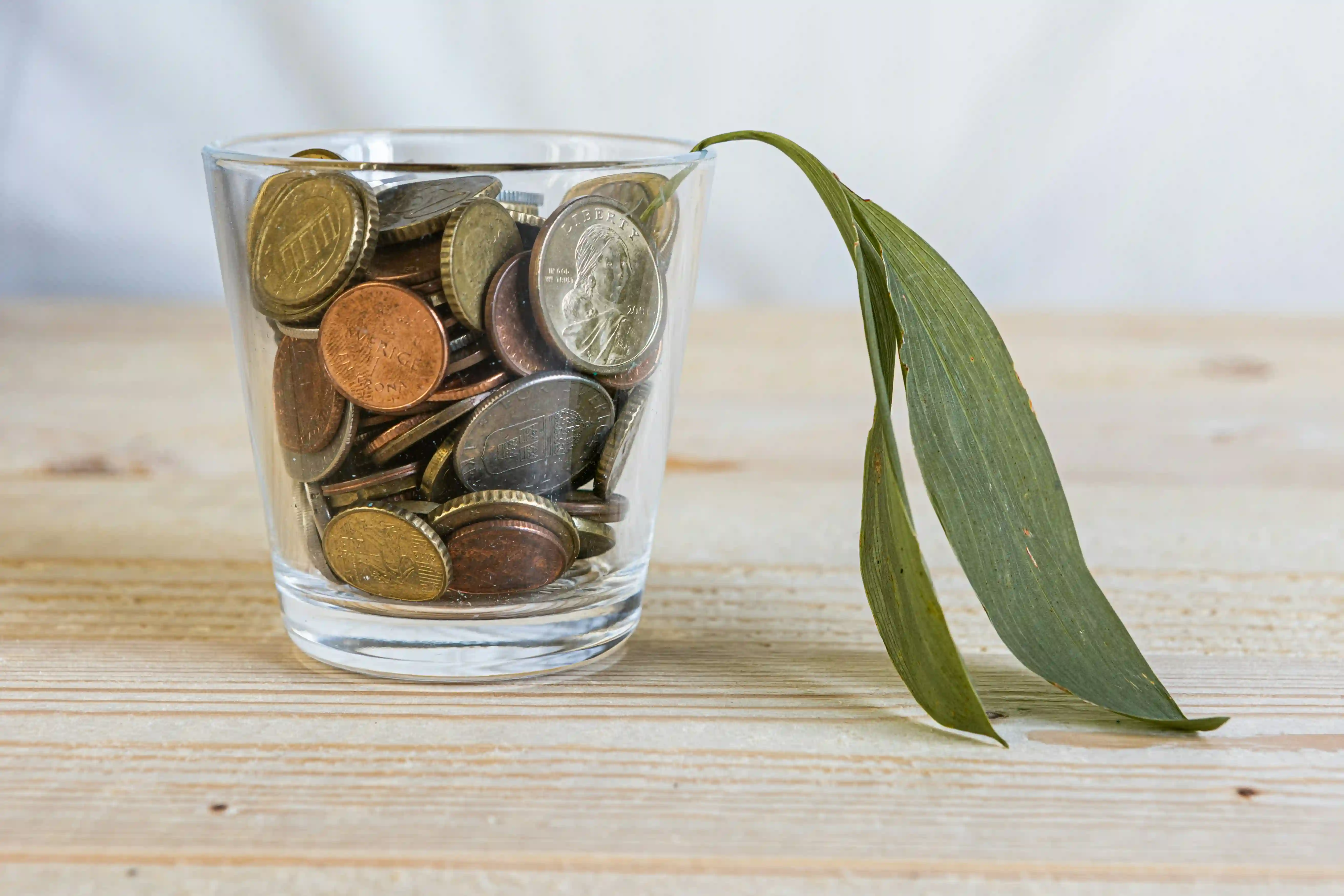 The Hidden ROI of Sustainability: 5 Overlooked Benefits