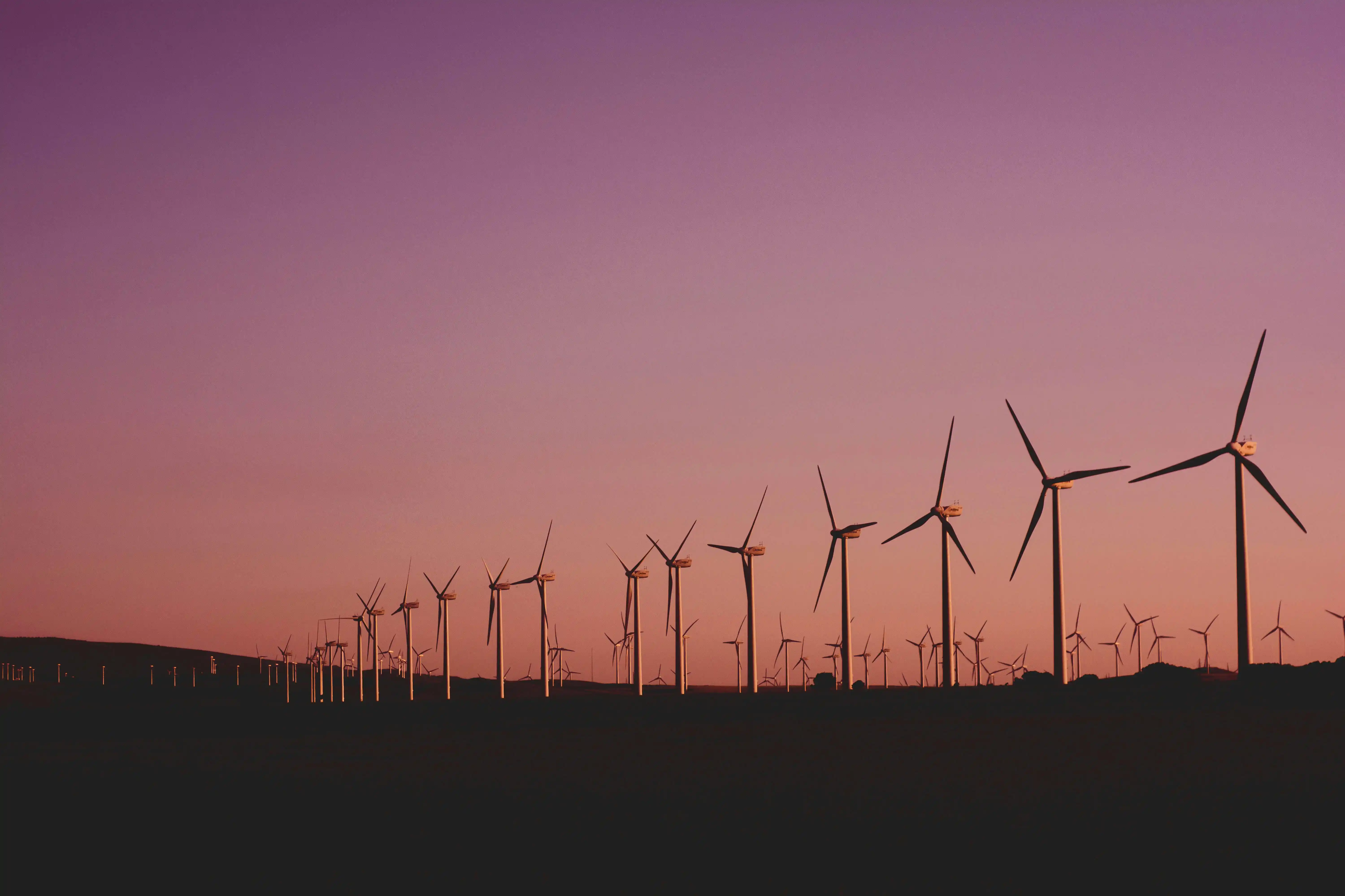 Understanding SBTi and Setting Climate Targets for Your Business 