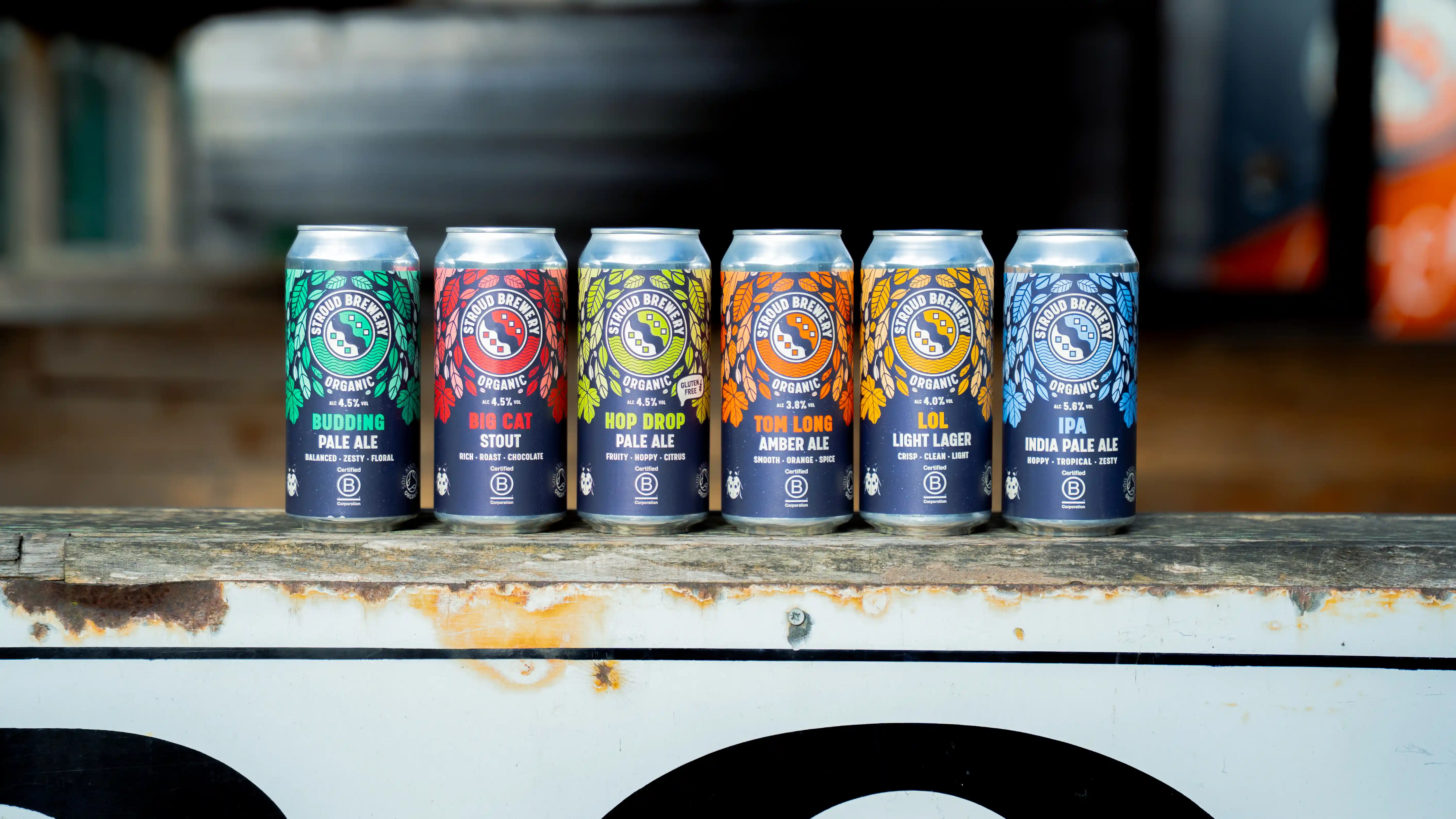 6 of Stroud's beers lined up on a surface