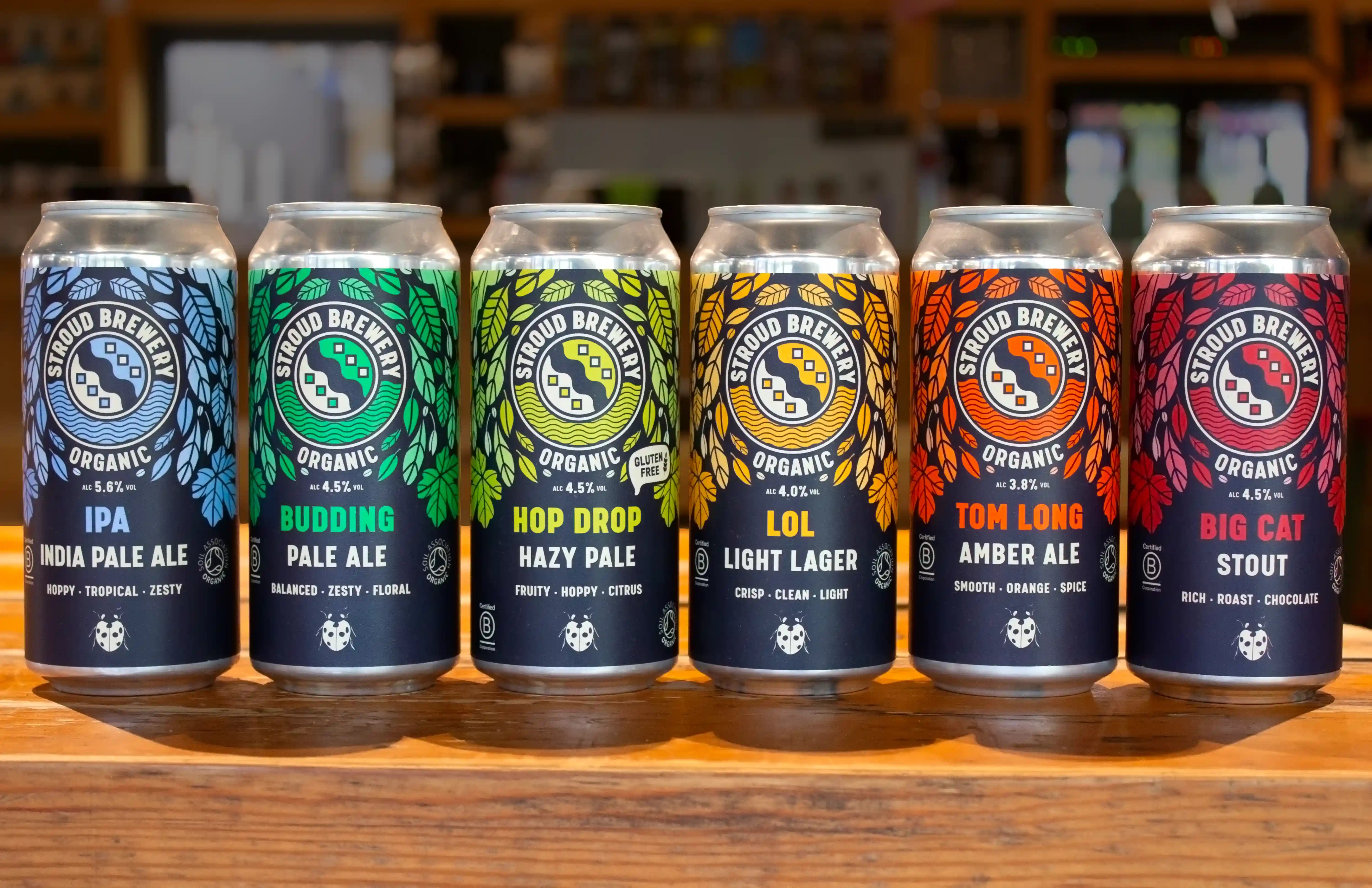 6 of Stroud's beers lined up on a surface