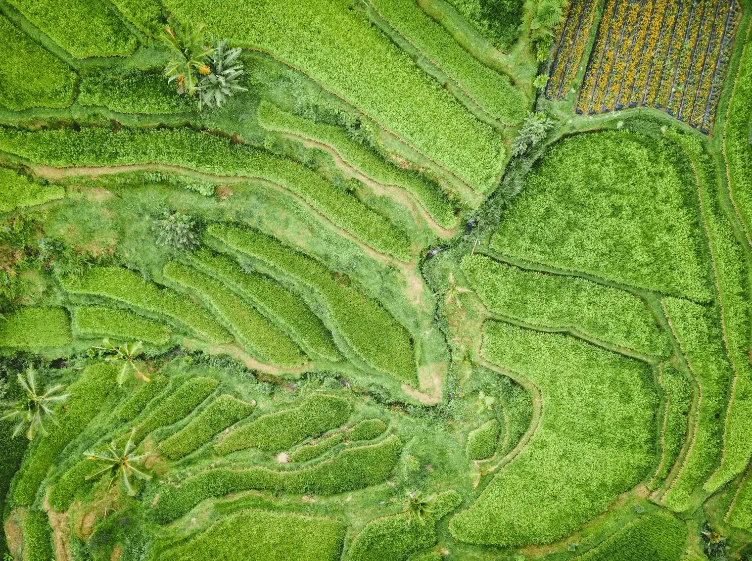 How Materiality Assessments Shape Credible Climate Strategy