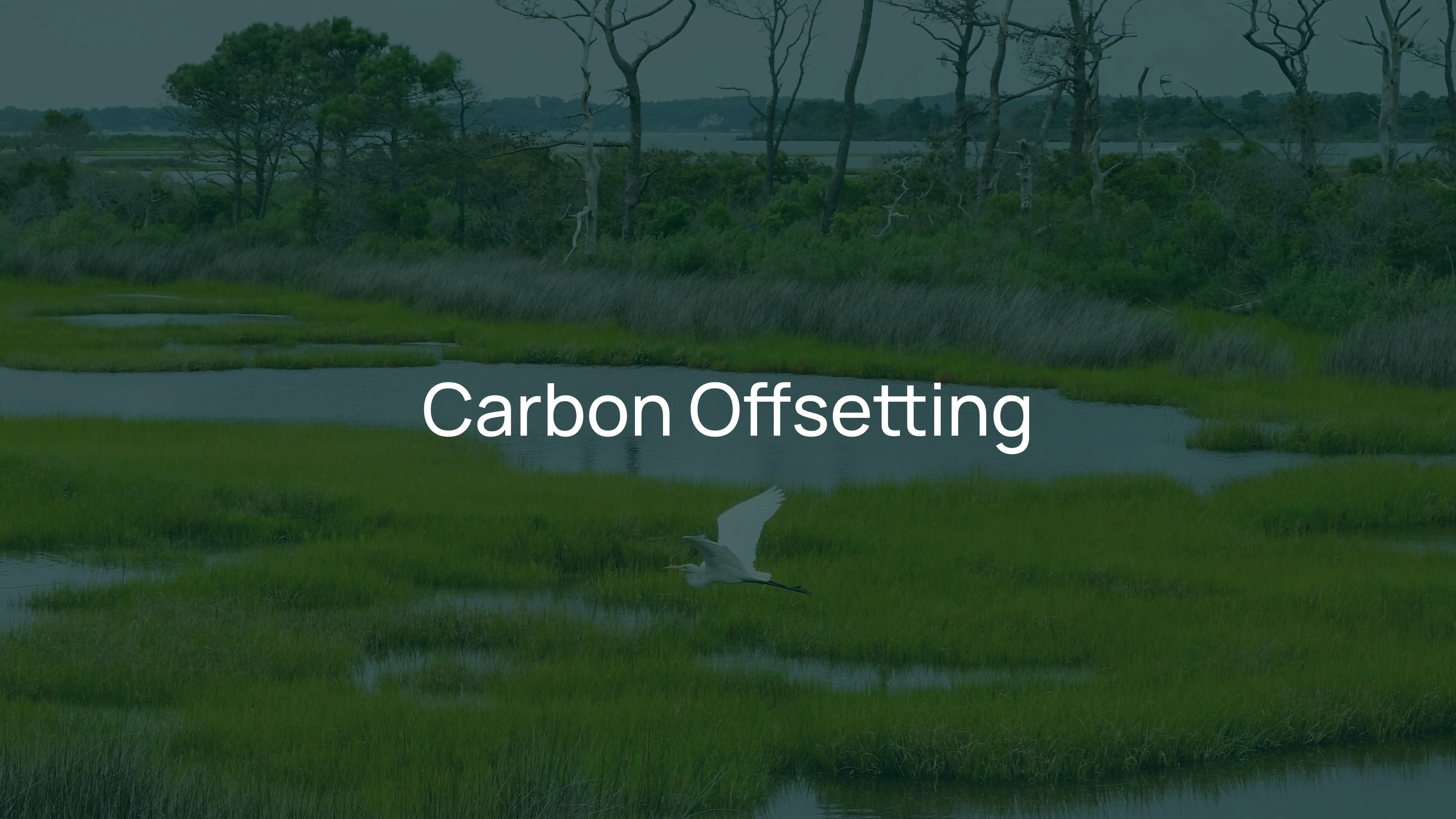 The Benefits and Limits of Carbon Offsetting