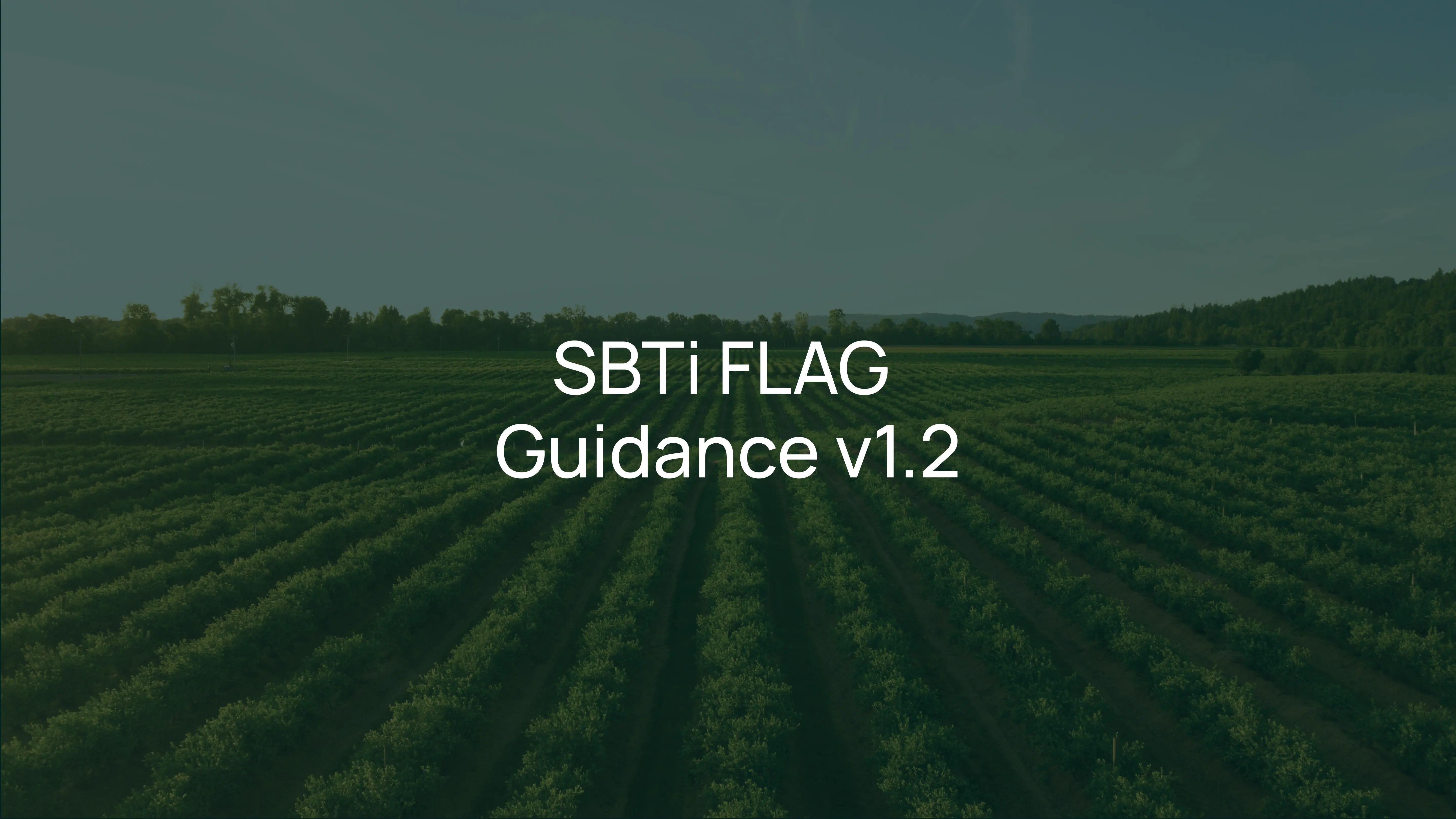 SBTi FLAG Guidance v1.2: What Changed & What to Do Next