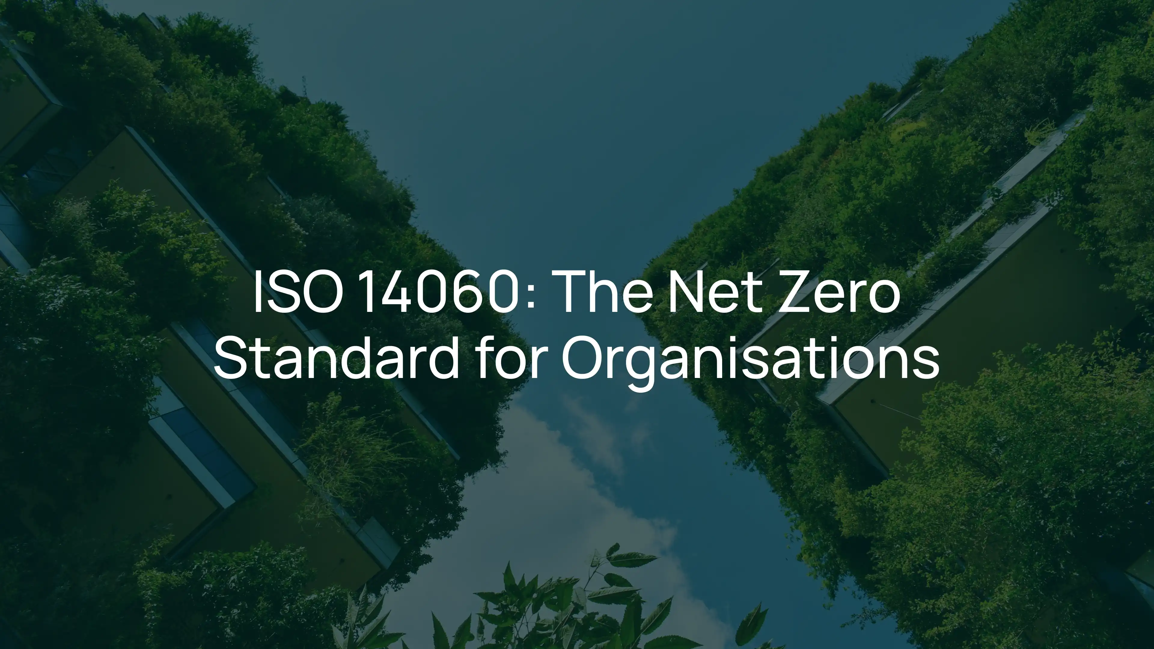 ISO 14060: What the First ISO Net Zero Standard Means for Your Business