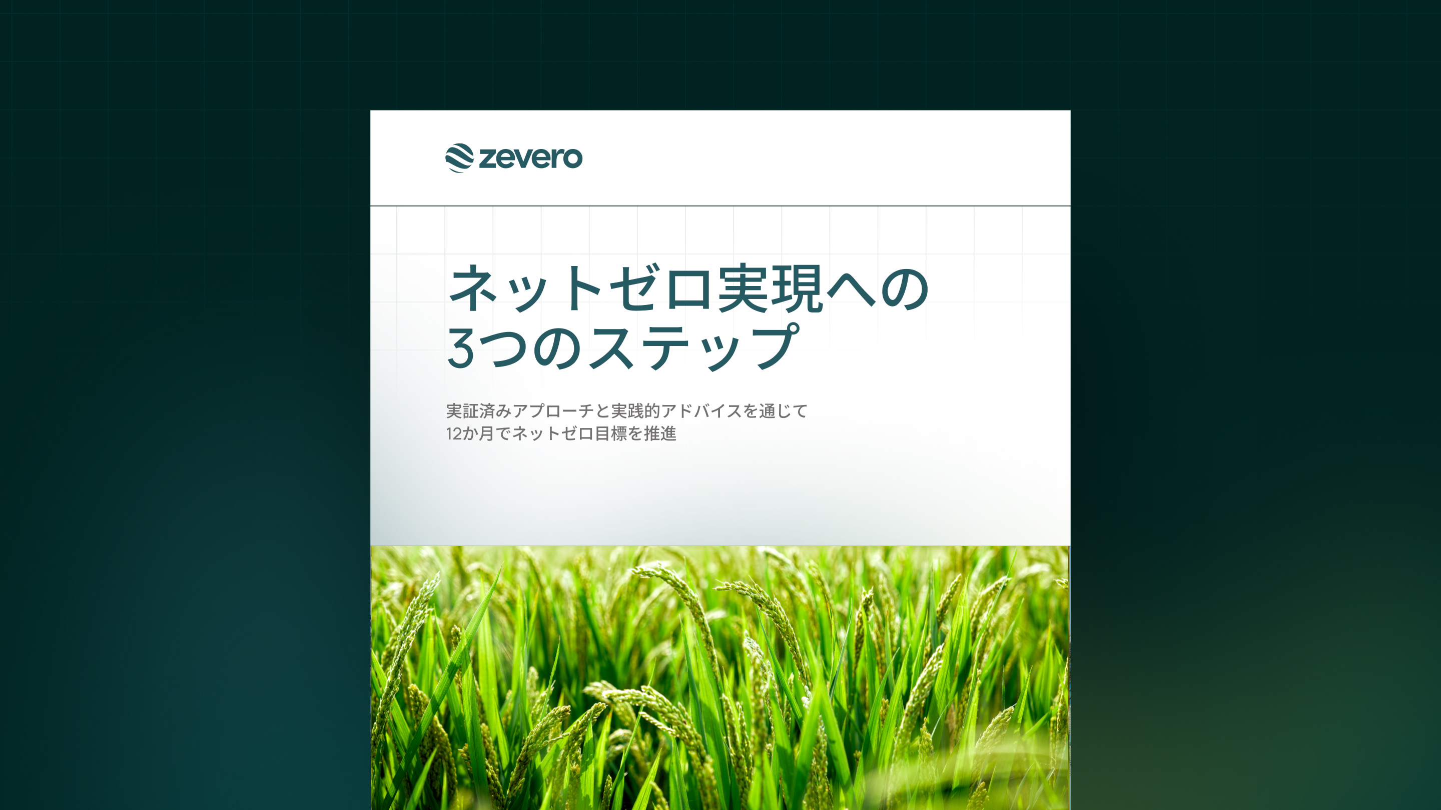 three steps to net zero guide