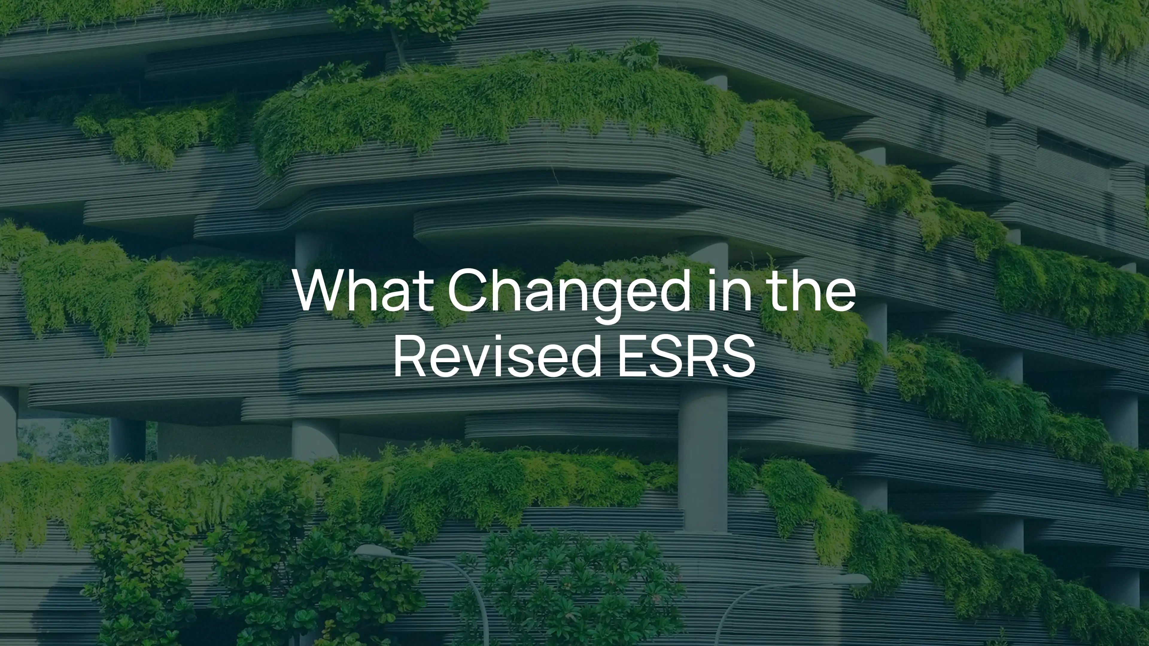ESRS Simplified: Where Things Stand in 2026