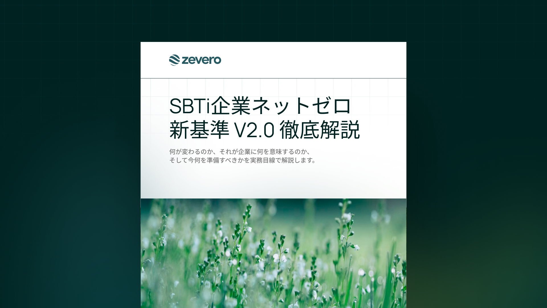 zevero sbti v2.0 guide cover