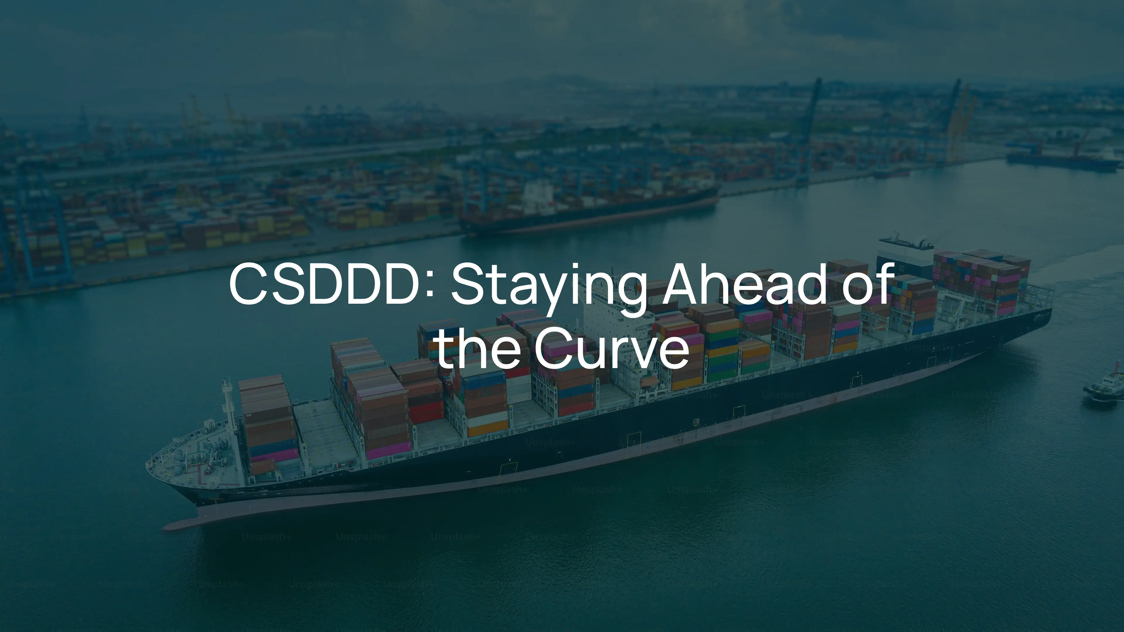 CSDDD: What Can Businesses Do to Stay Ahead of the Curve?