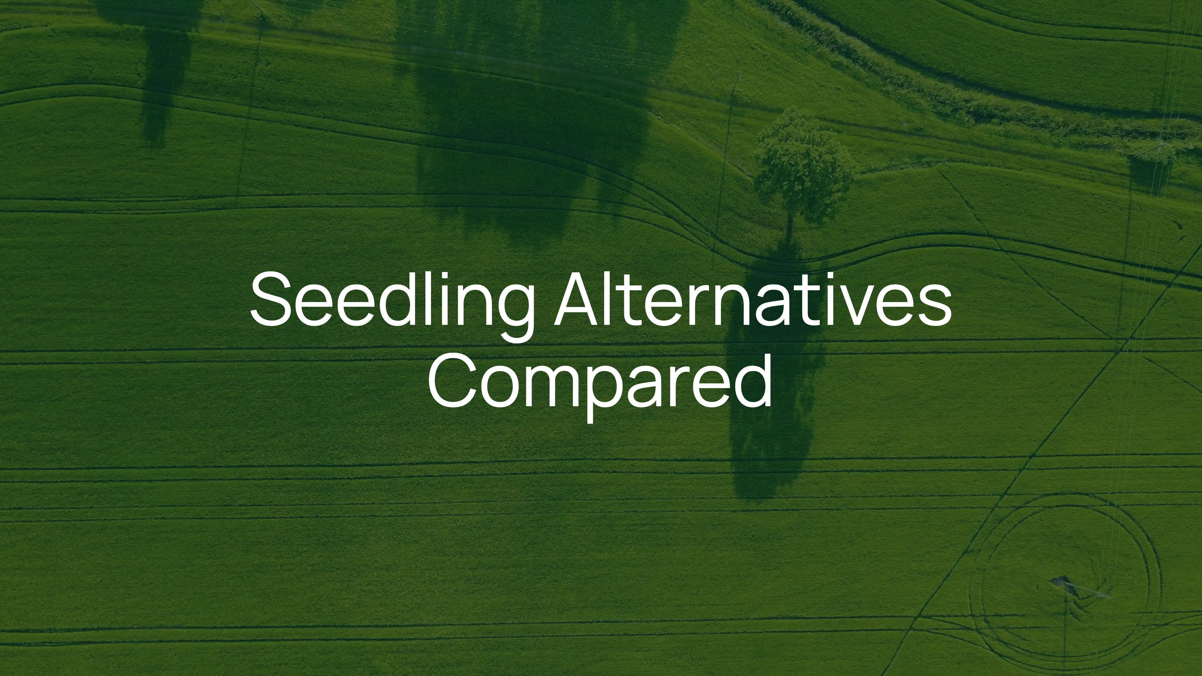 Seedling Alternatives & Competitors for UK SMEs