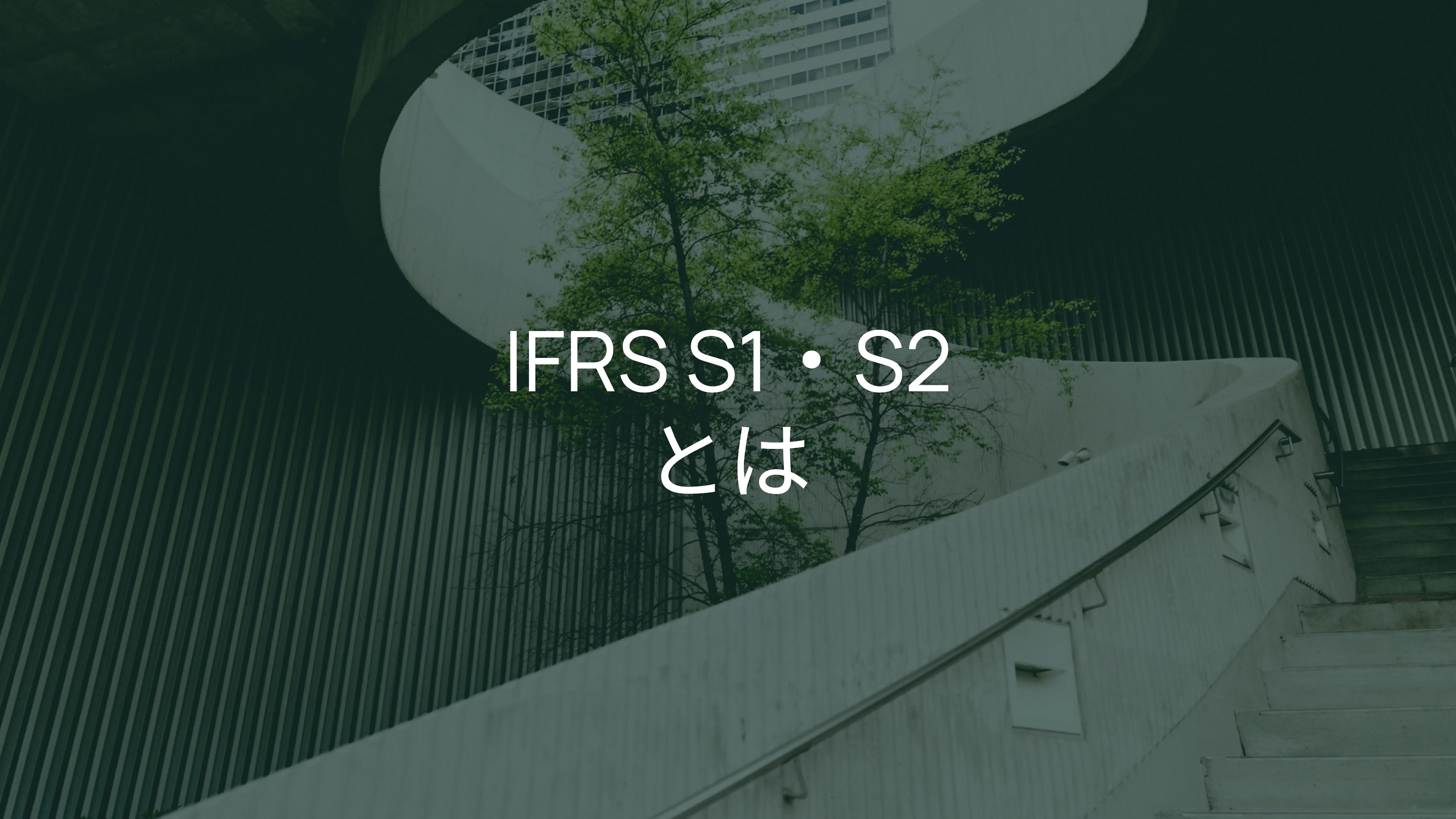 IFRS S1・S2とは?財務・サステナビリティ責任者向けガイド