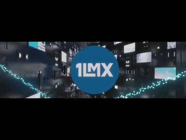 1LMX Experience