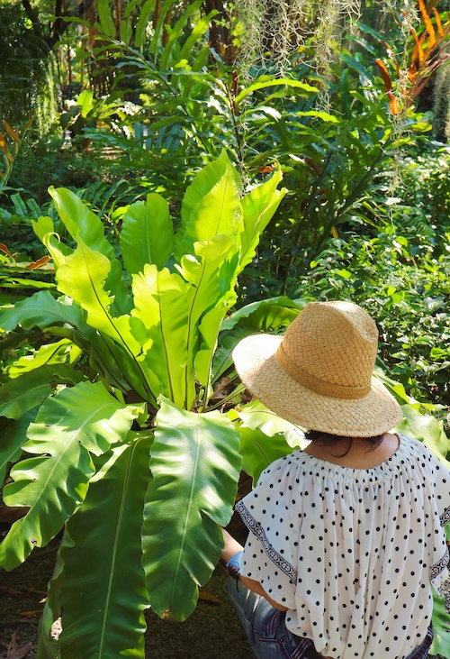 Woman in a white blouse and straw hat in a tropical garden with her back to the camera