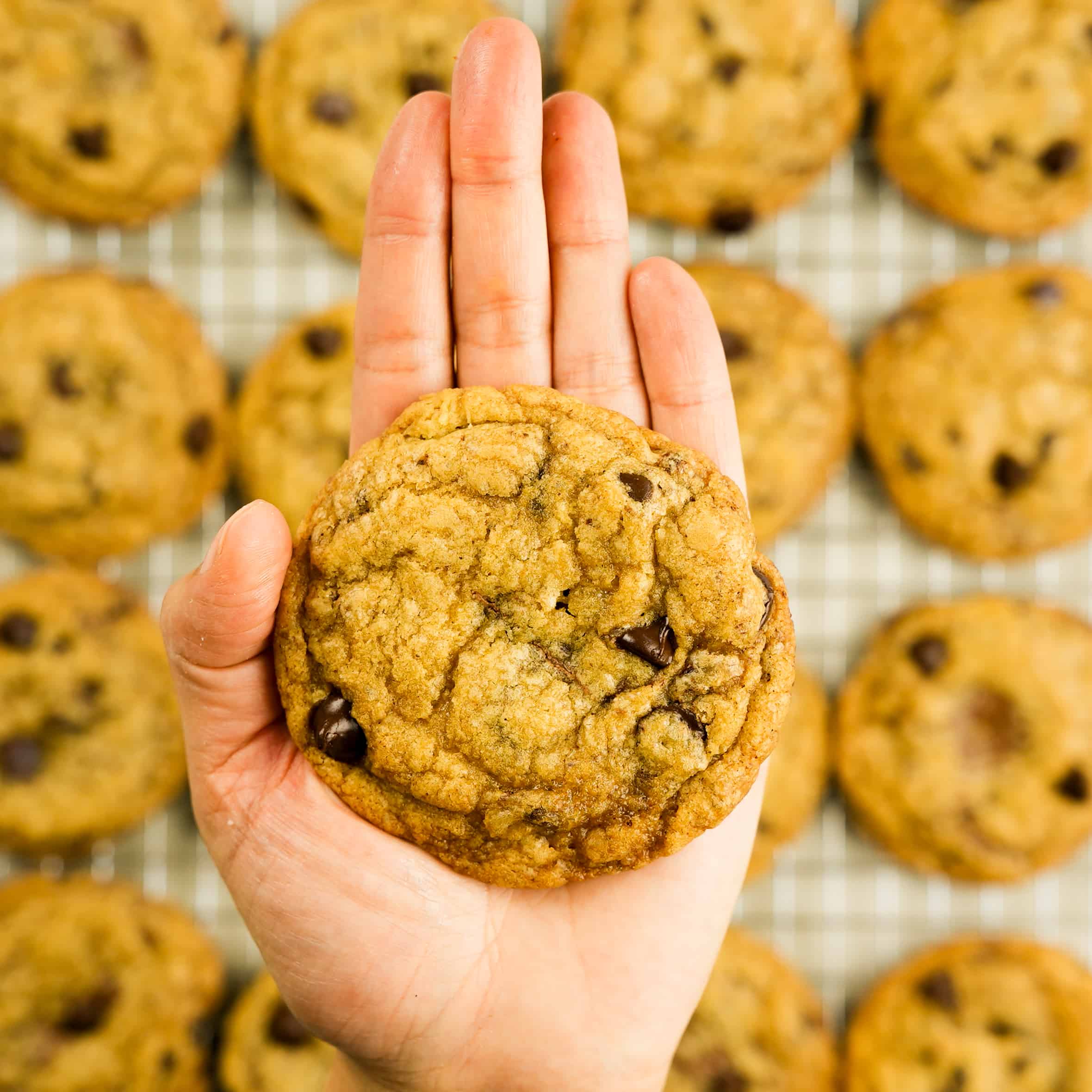 Classic Chewy Browned Butter Chocolate Chip Cookies