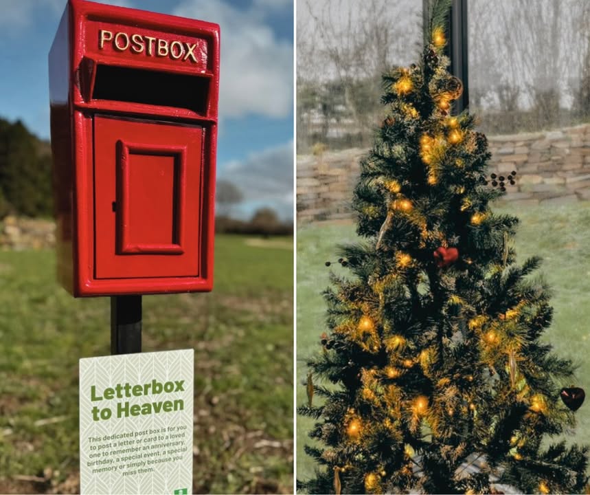 1806064686287007_1521947476605733