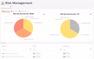 Risk Management System Aeneis